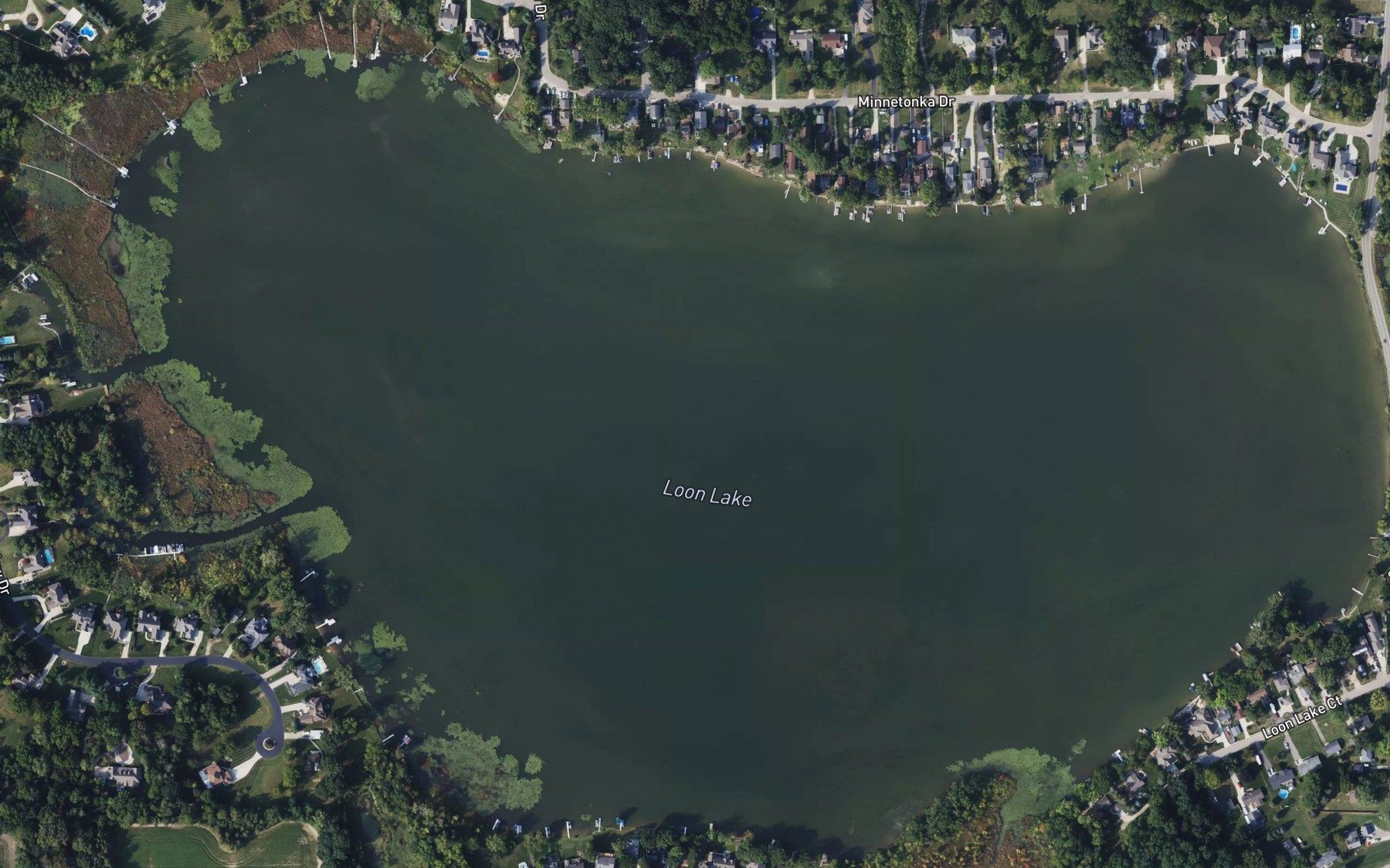 Satellite map of the Loon Lake