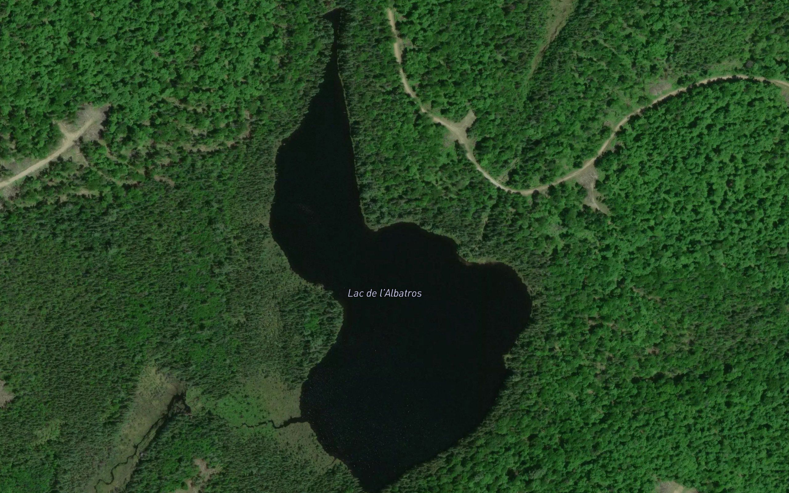 Lac de l'Albatros