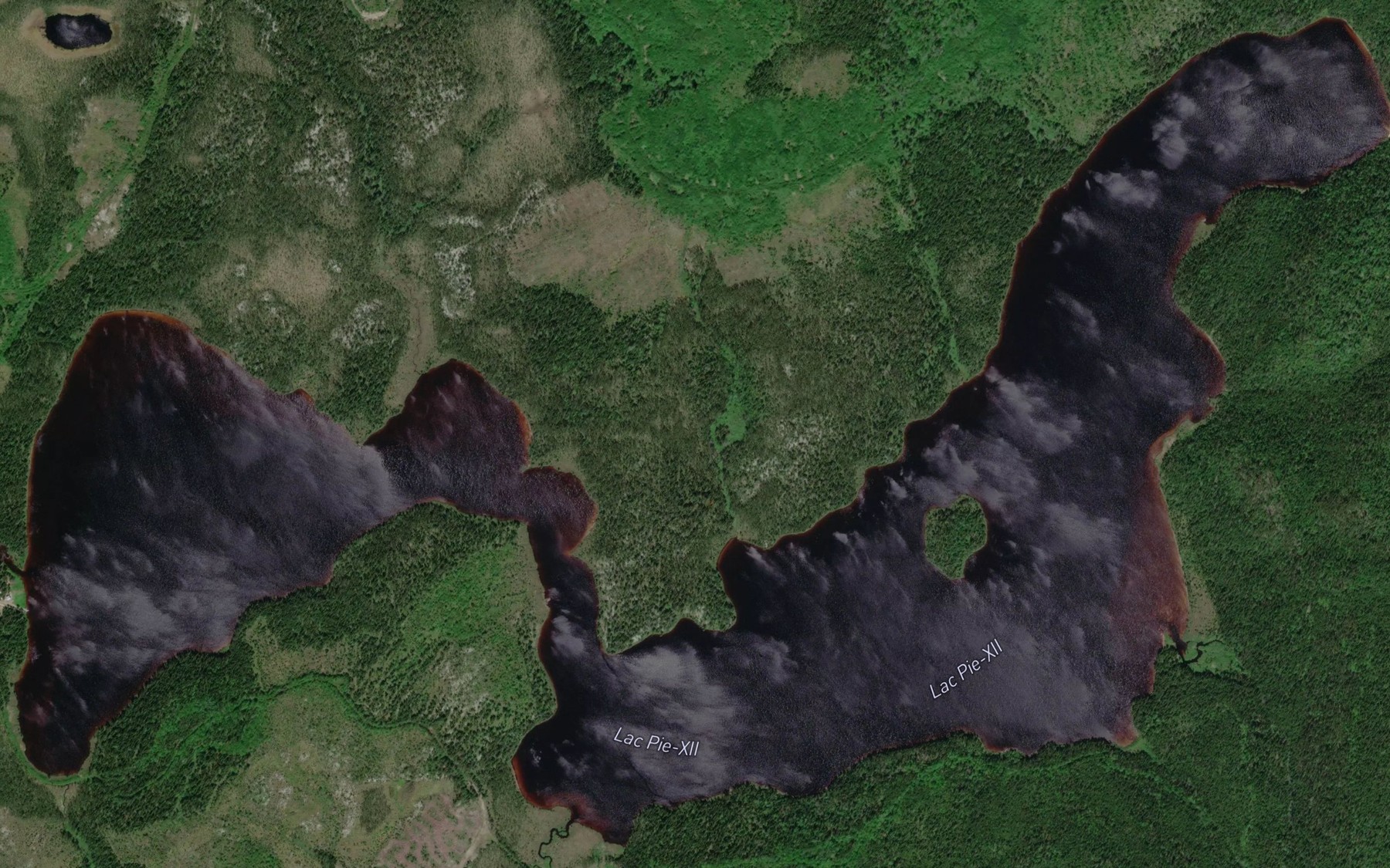 Satellite map of the Lac Pie-XII
