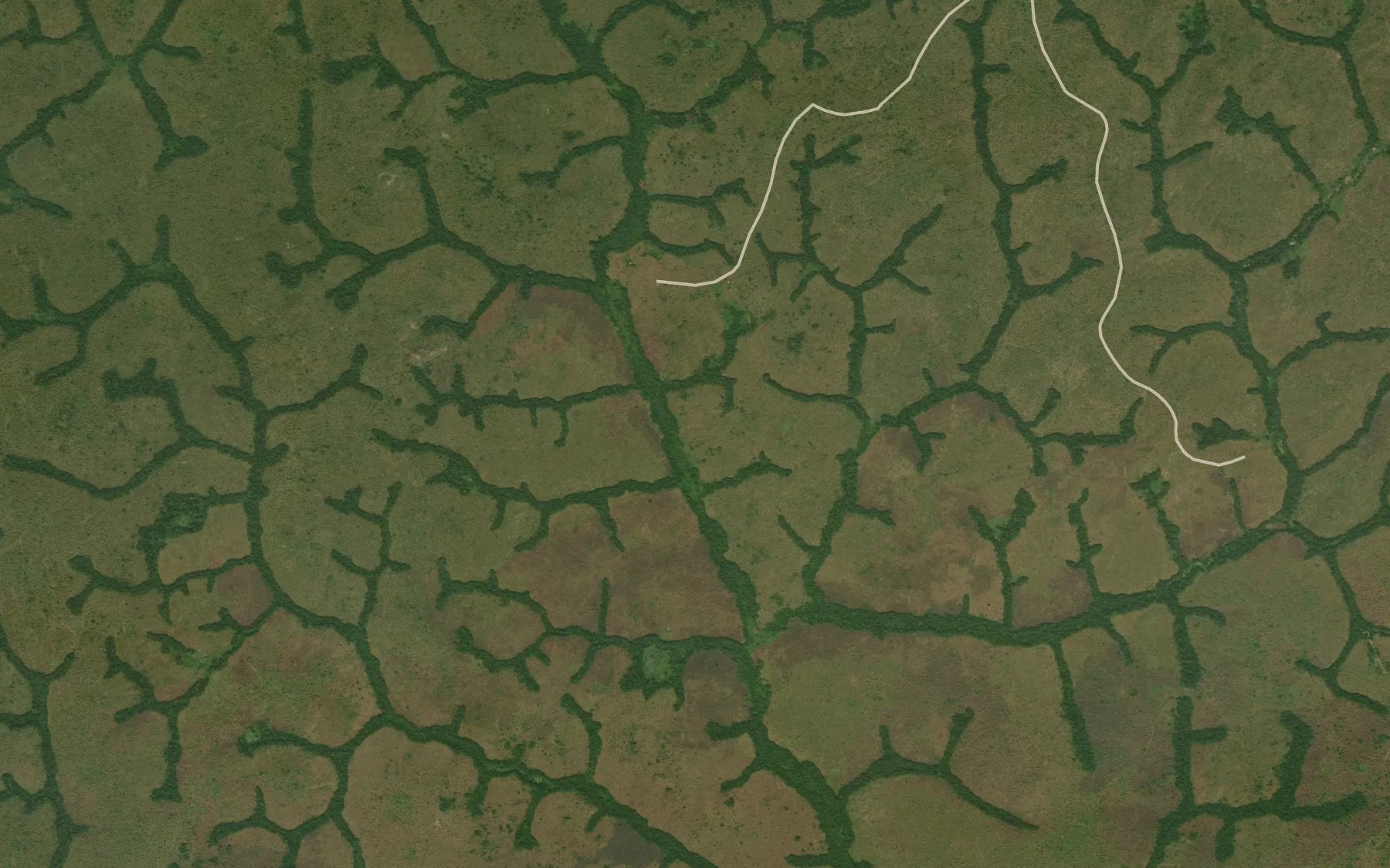 Satellite map of the Bala