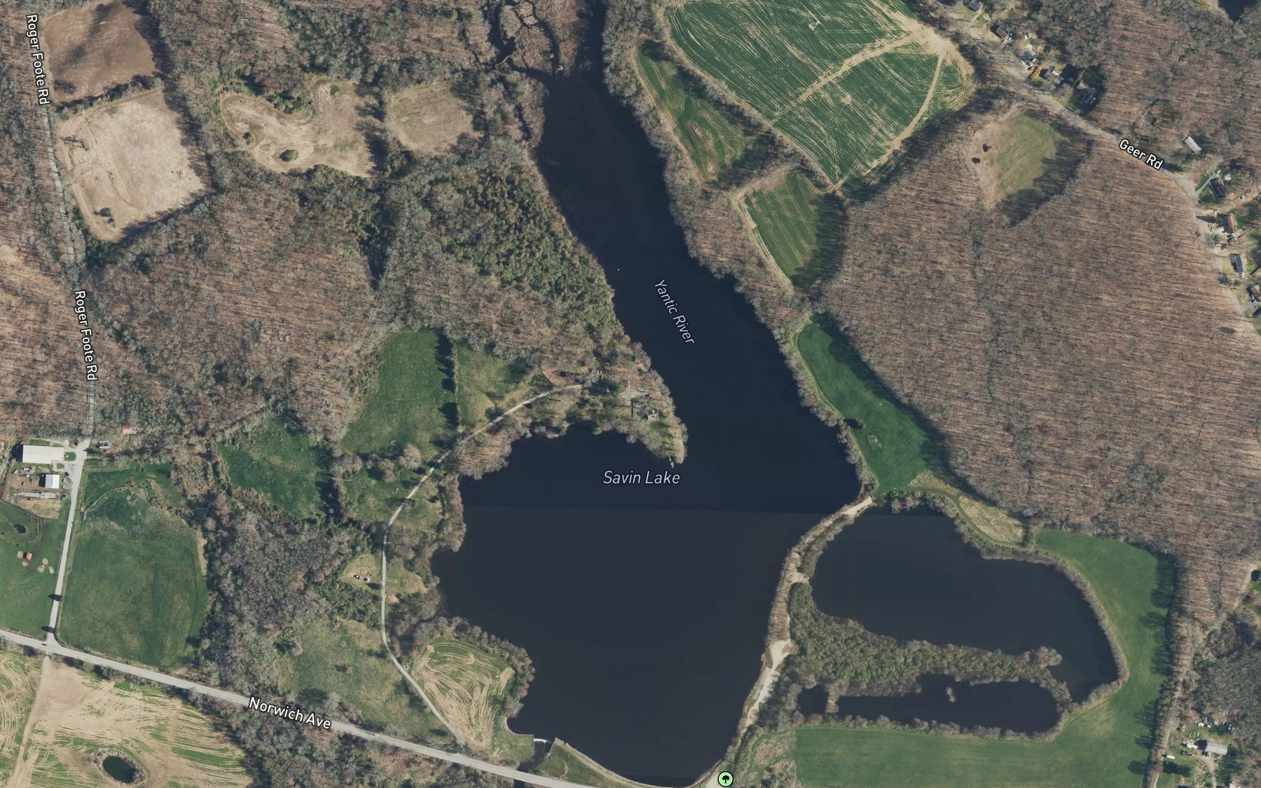 Satellite map of the Savin Lake