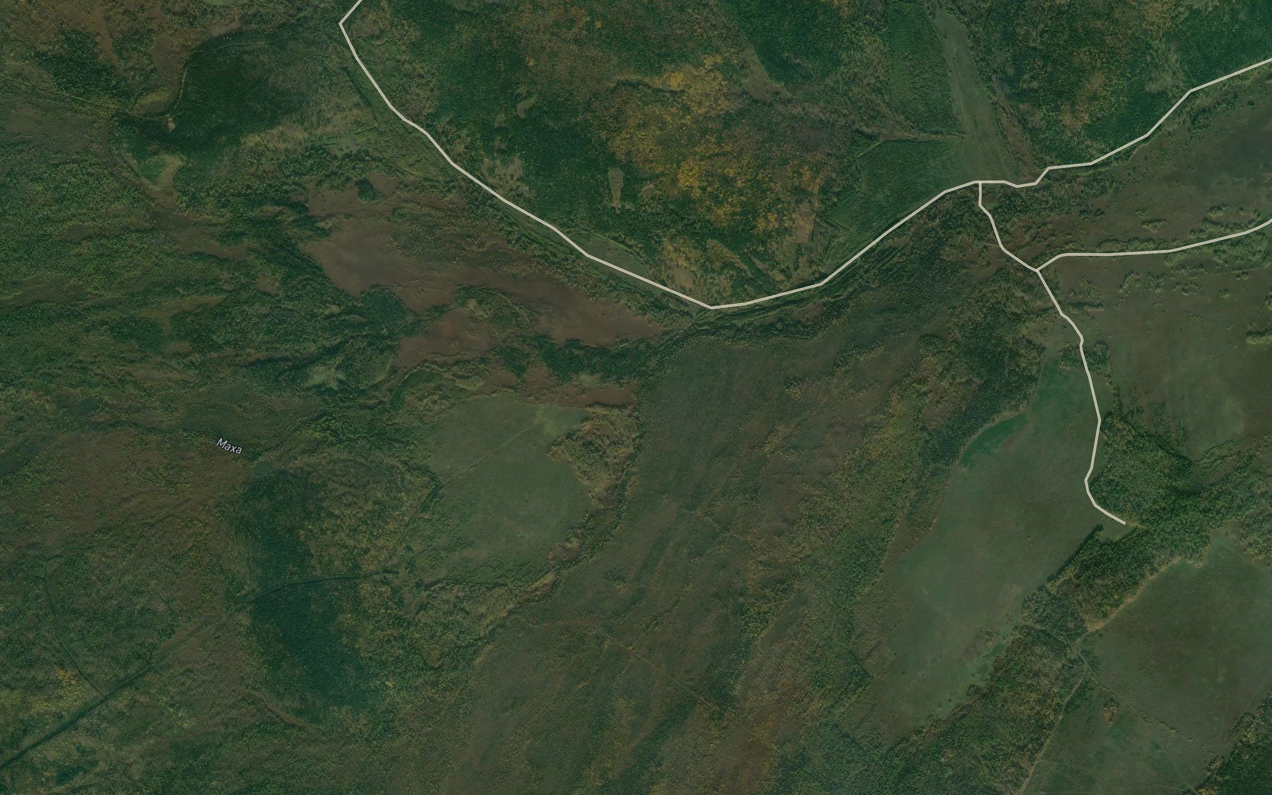 Nila