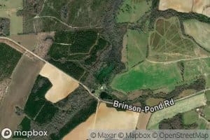 Brinson Millpond