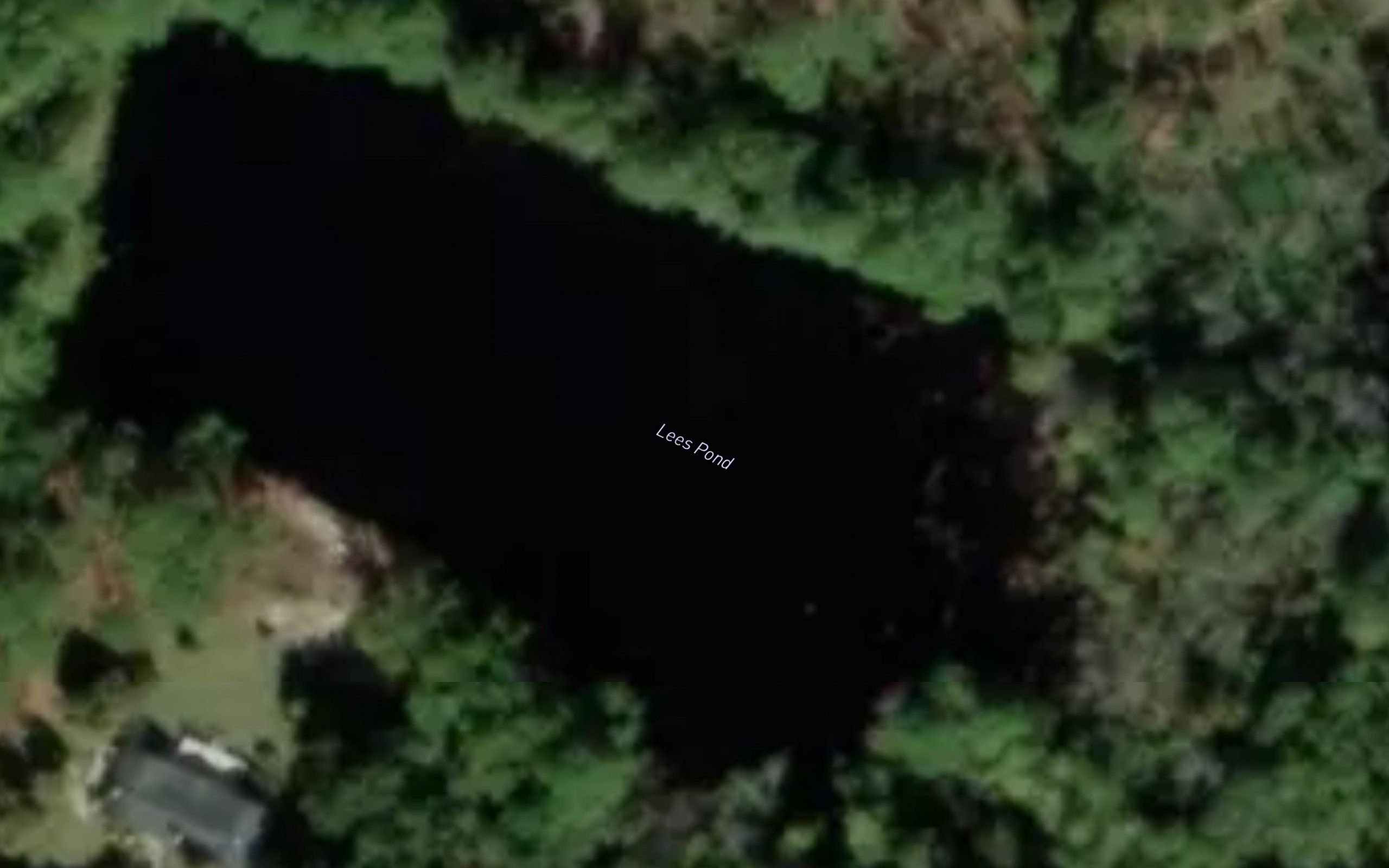 Lees Pond
