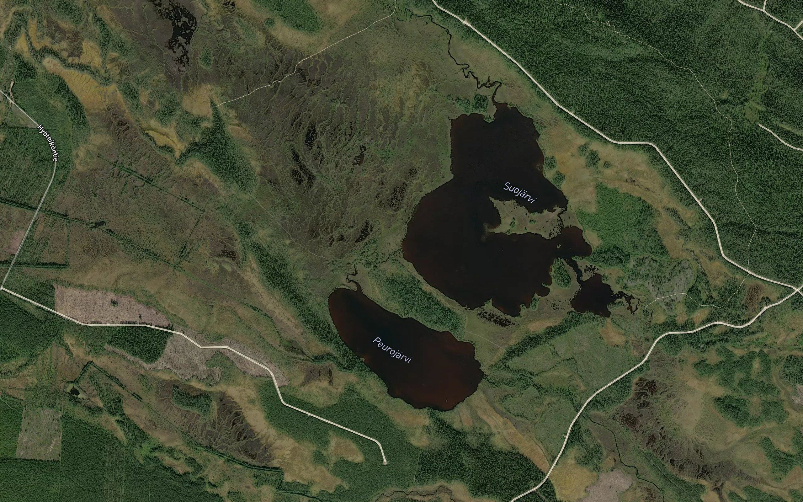 Heinijoki