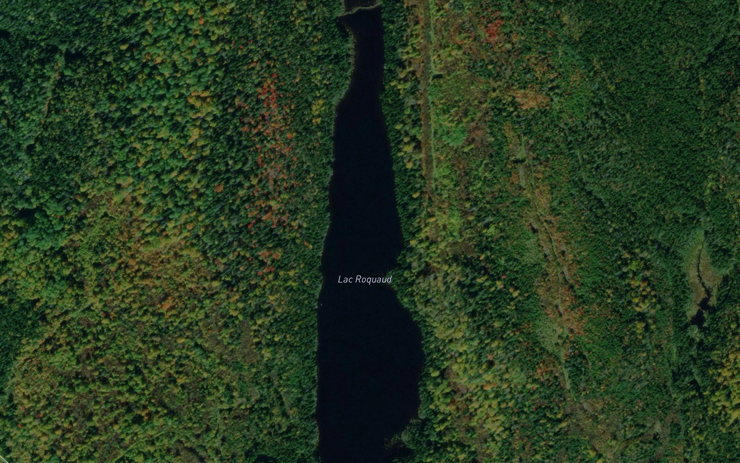 Lac Roquaud