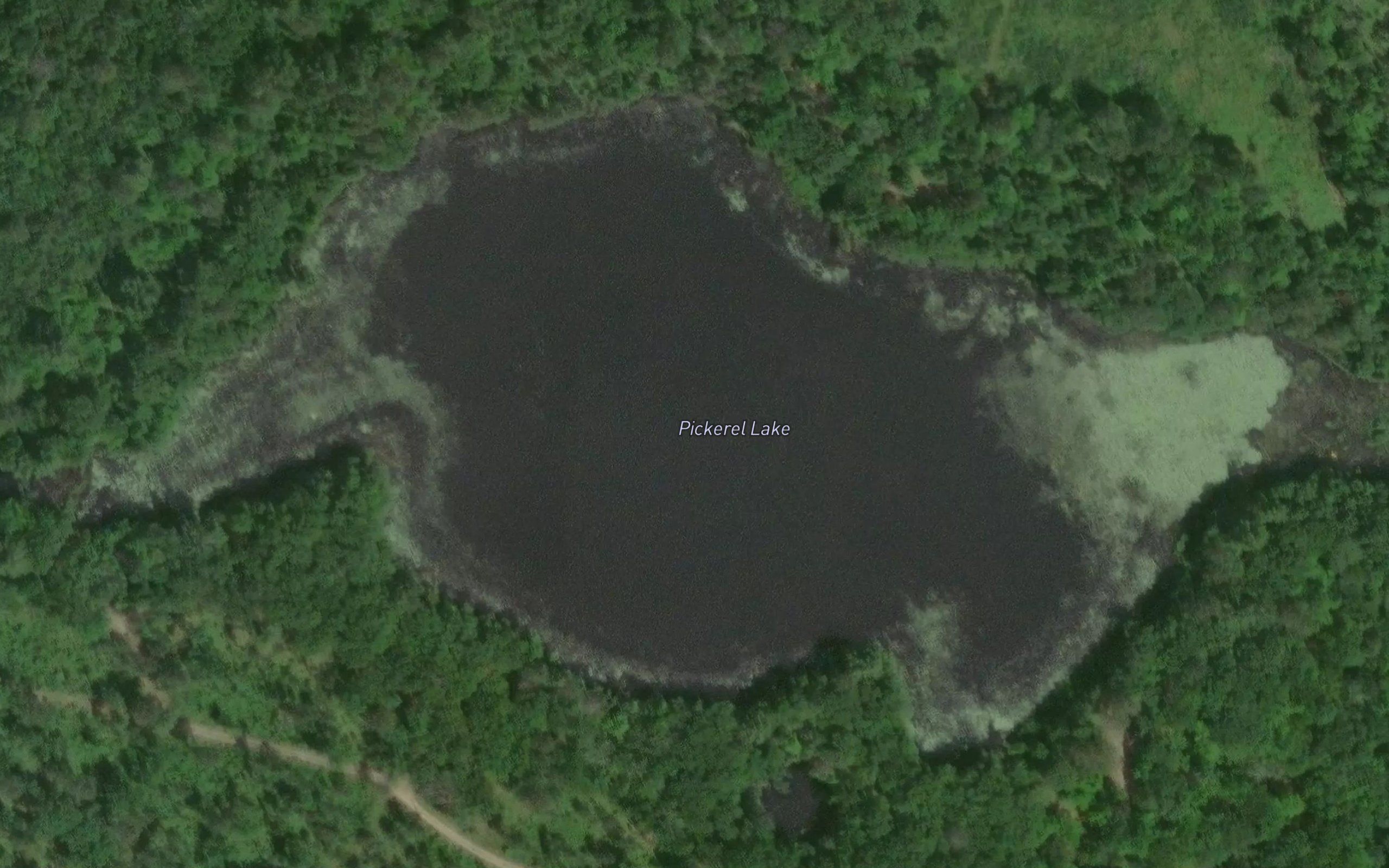Pickerel Lake