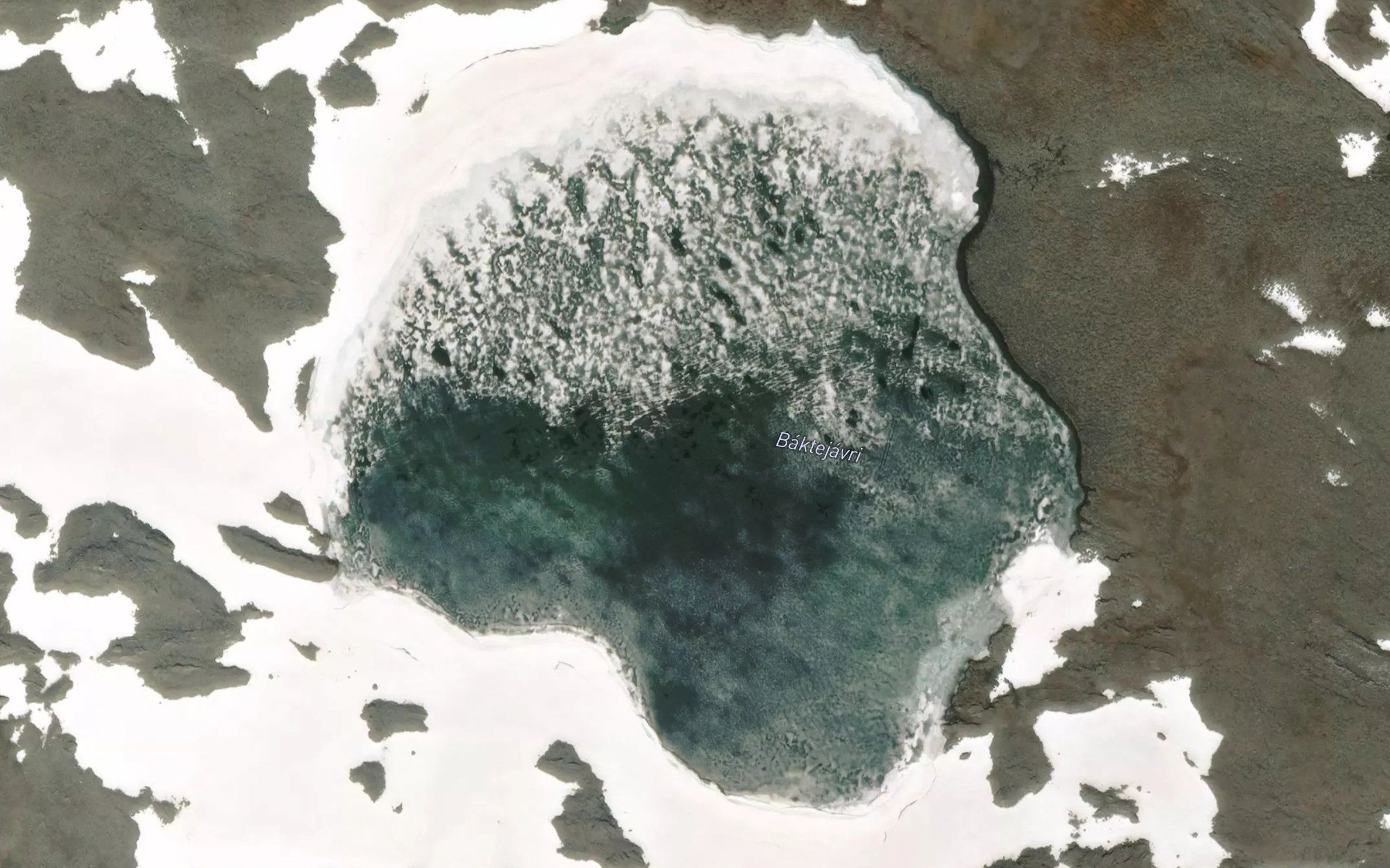 Baktejavri