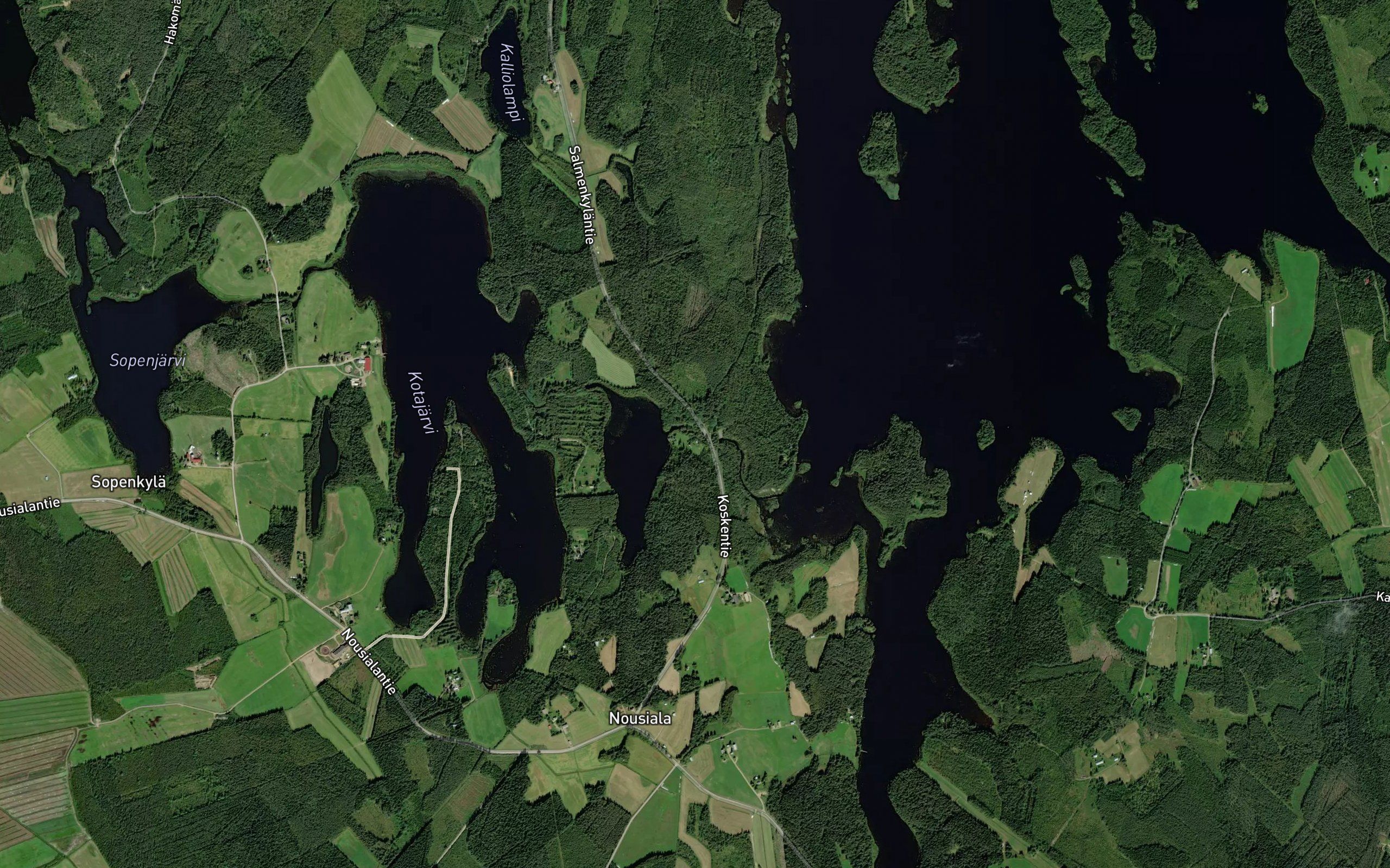 Isokoski