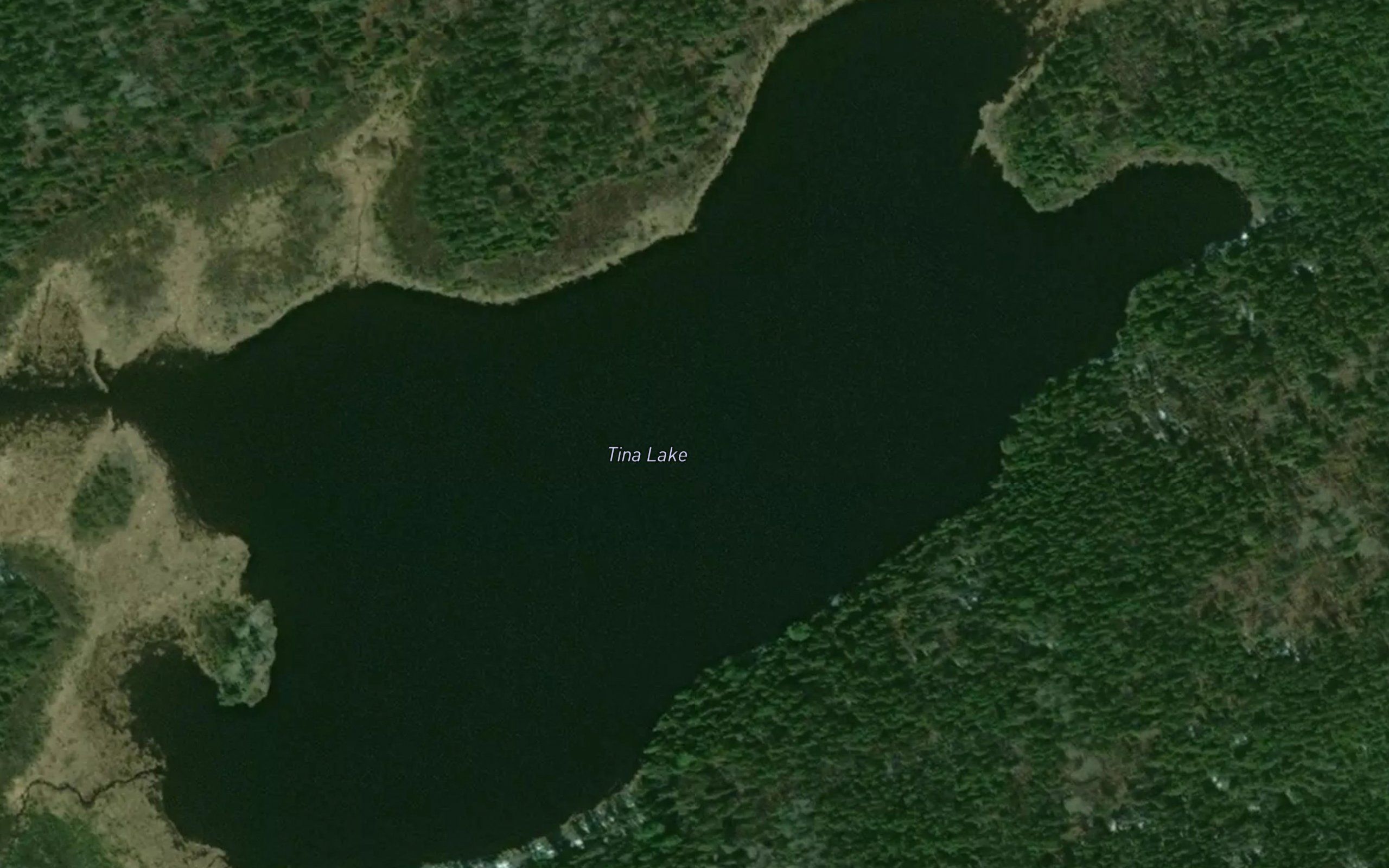 Tina Lake