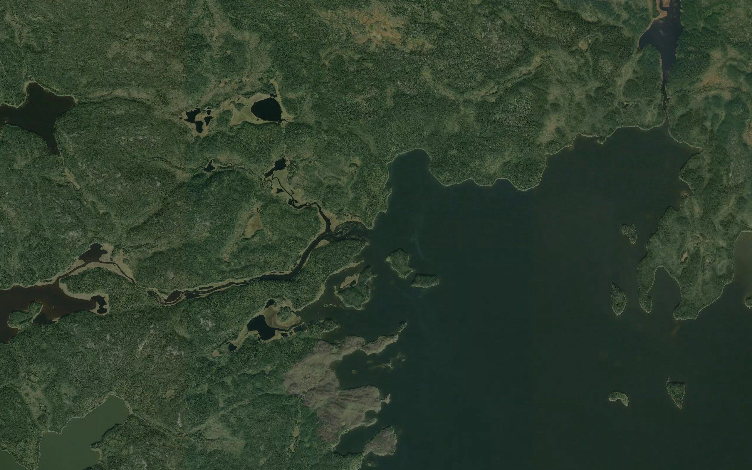 Muskose Bay