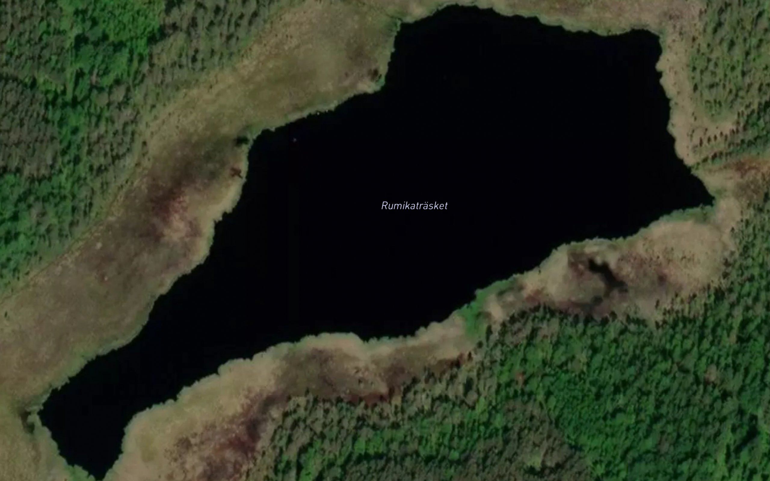 Rumikatrasket