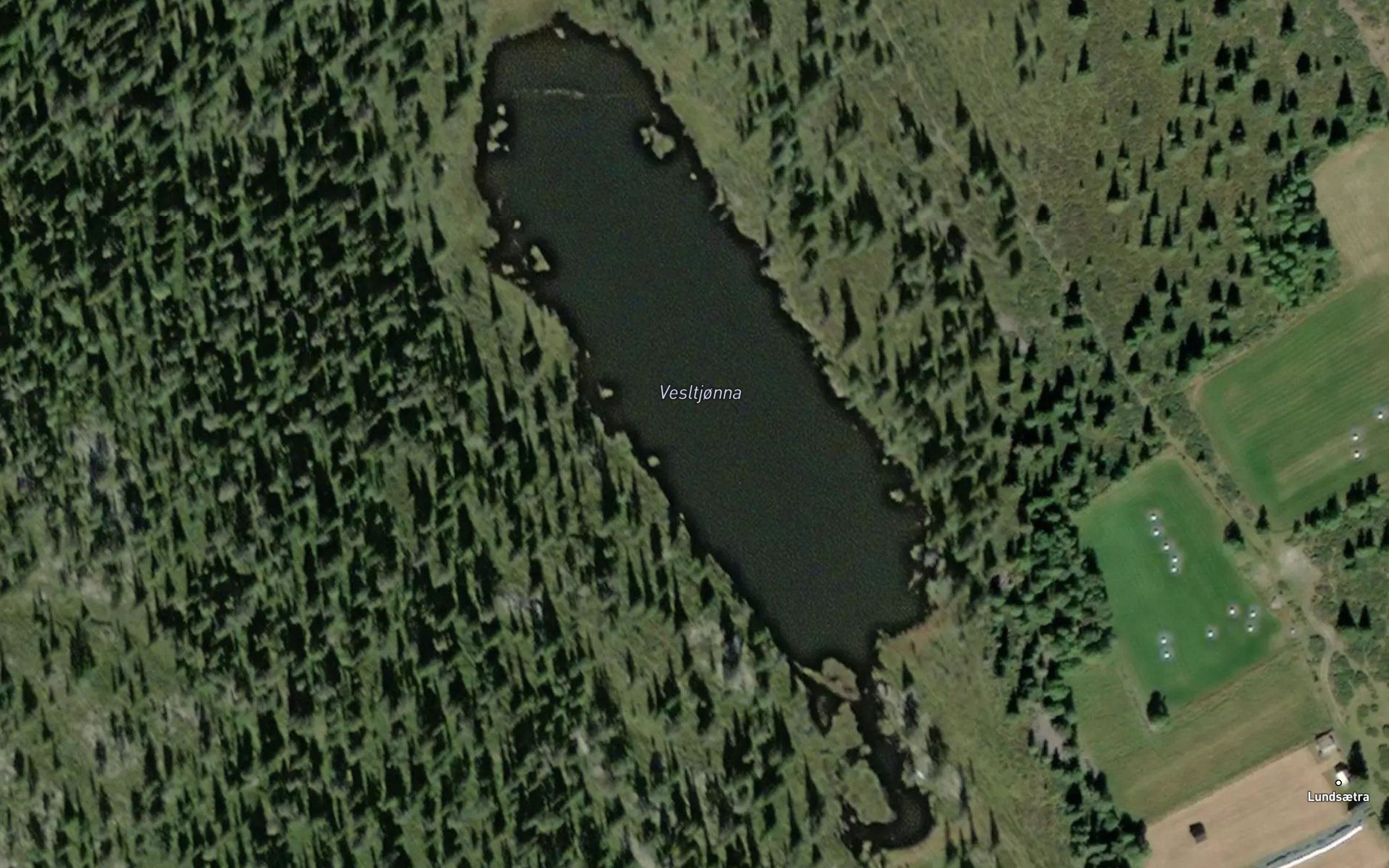 Vesltjorn