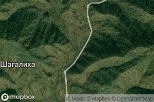 Shagalenok