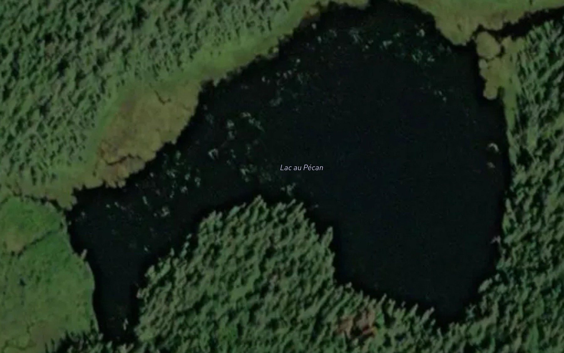 Satellite map of the Lac au Pecan