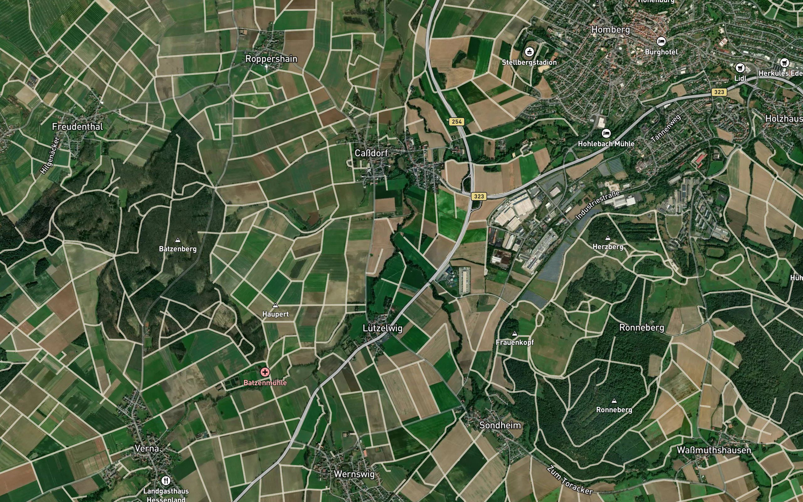 Rinnebach