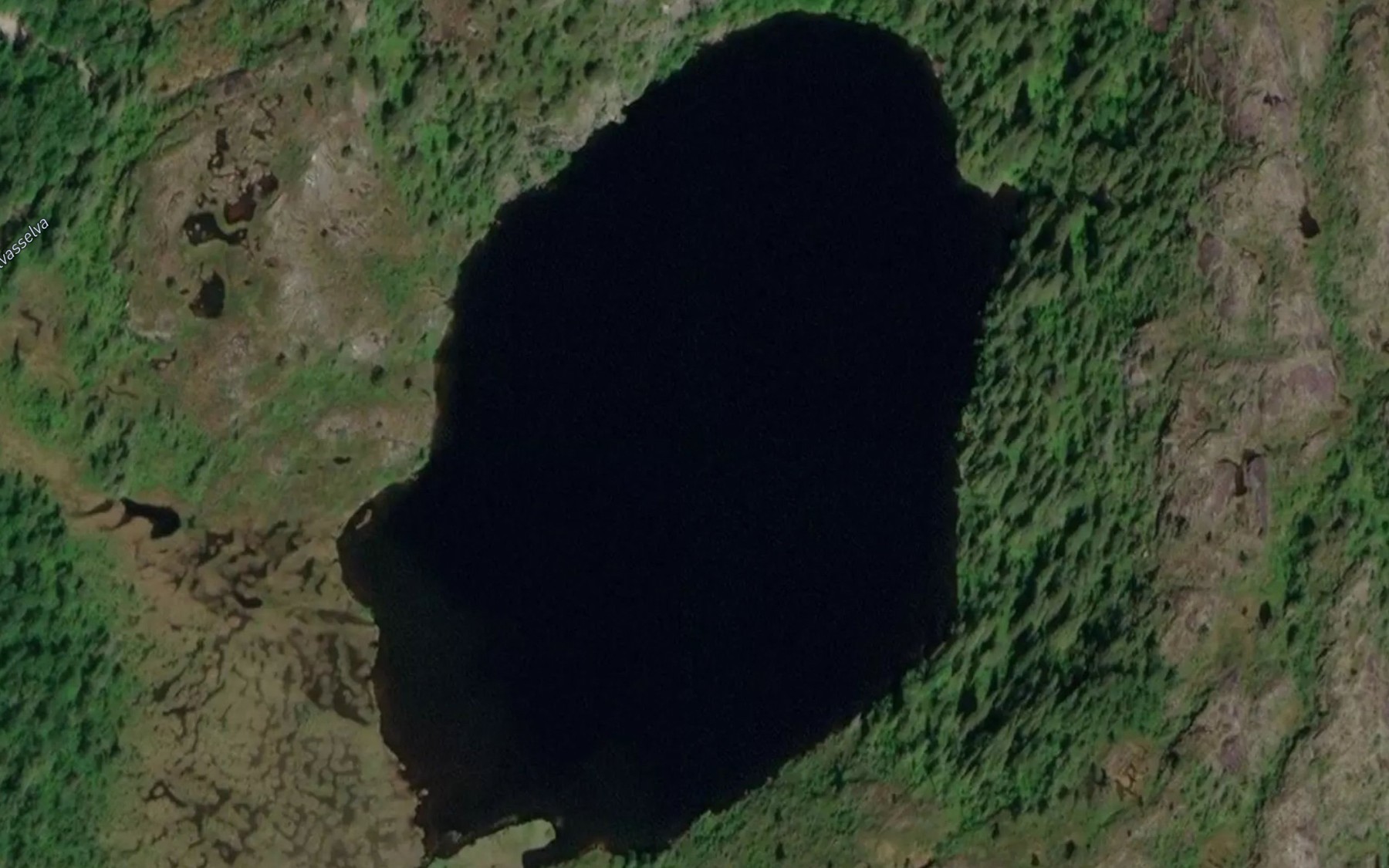 Satellite map of the Svartvatnet