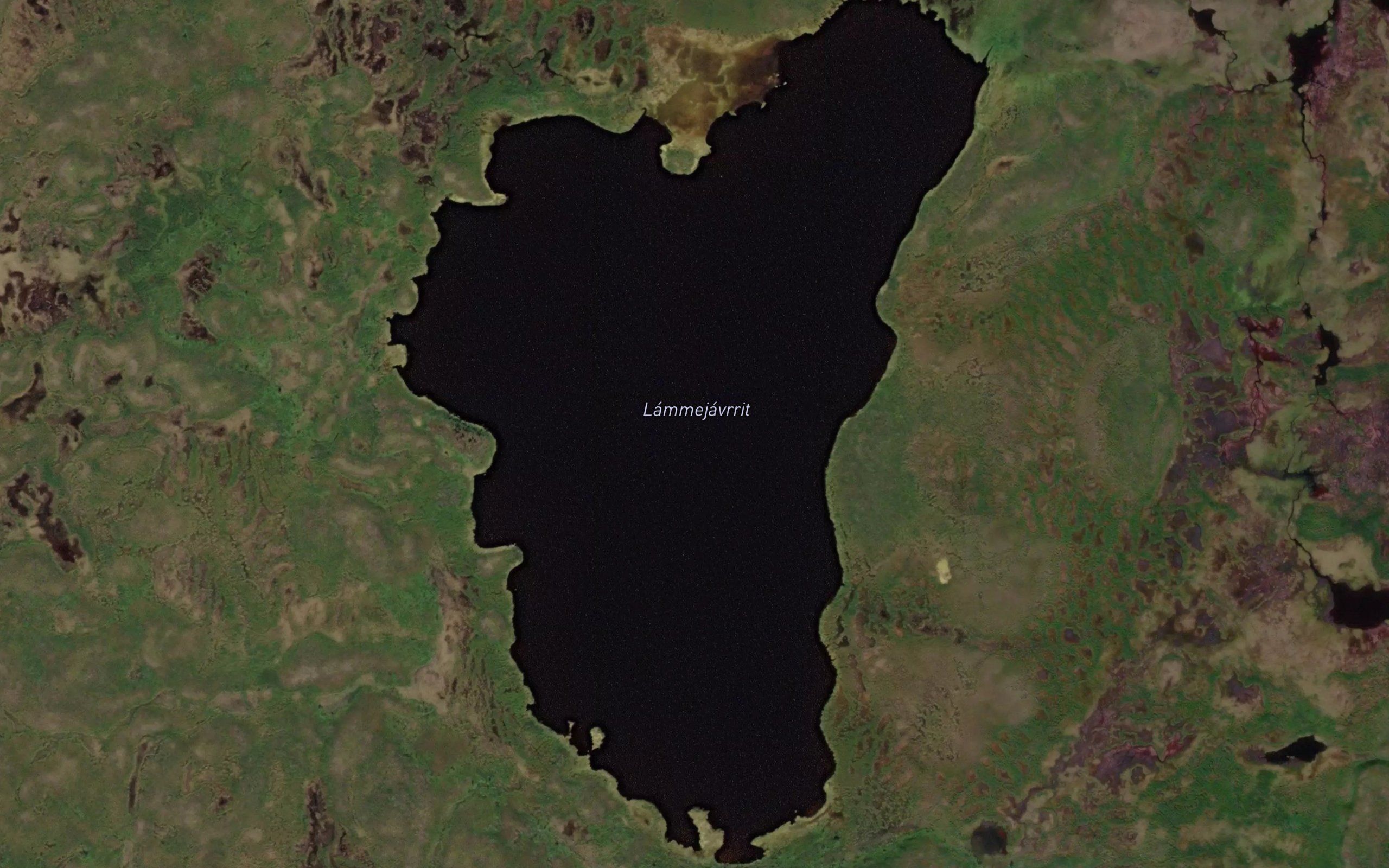Lammejavrit
