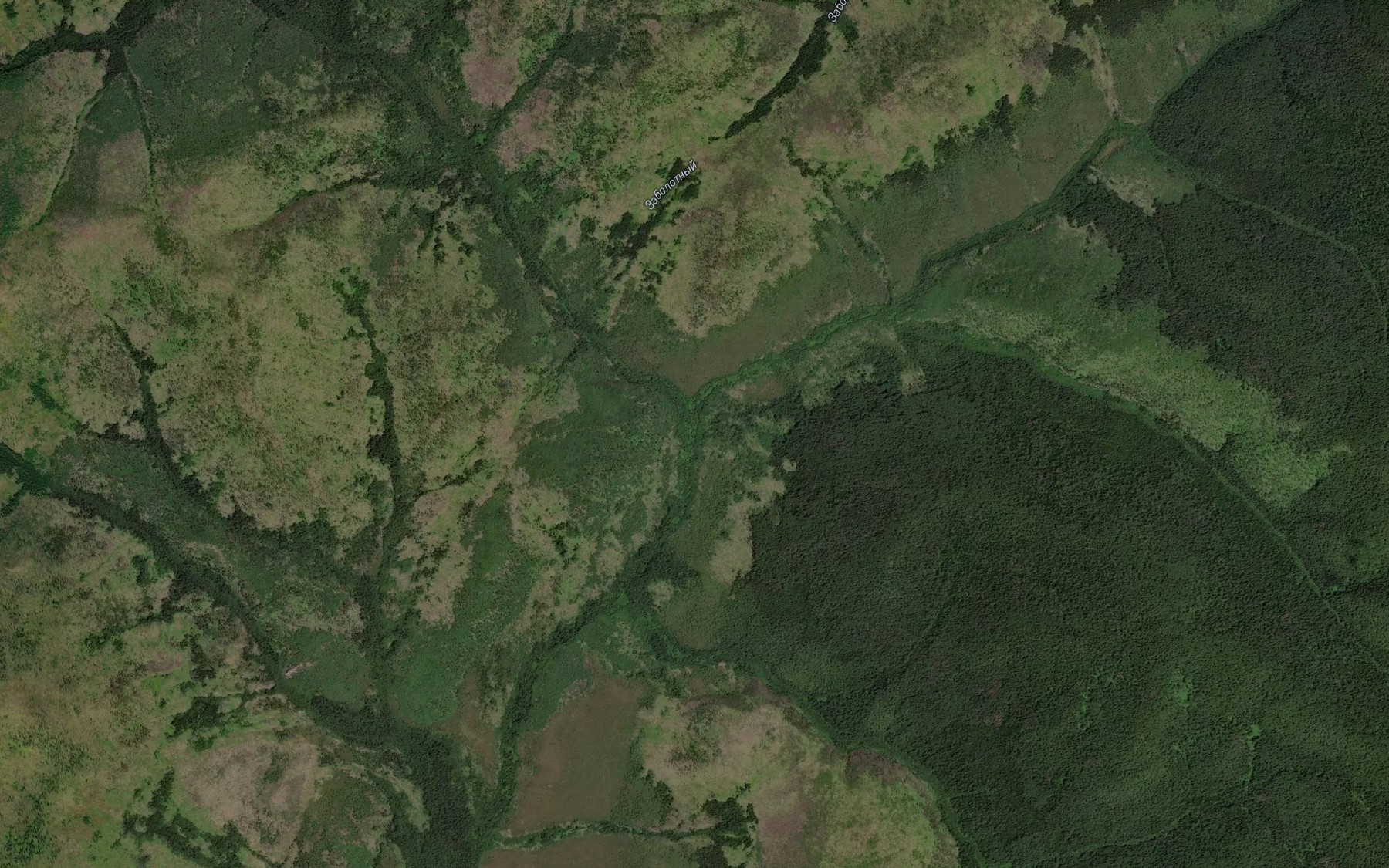 Satellite map of the Zakhrebetnyy