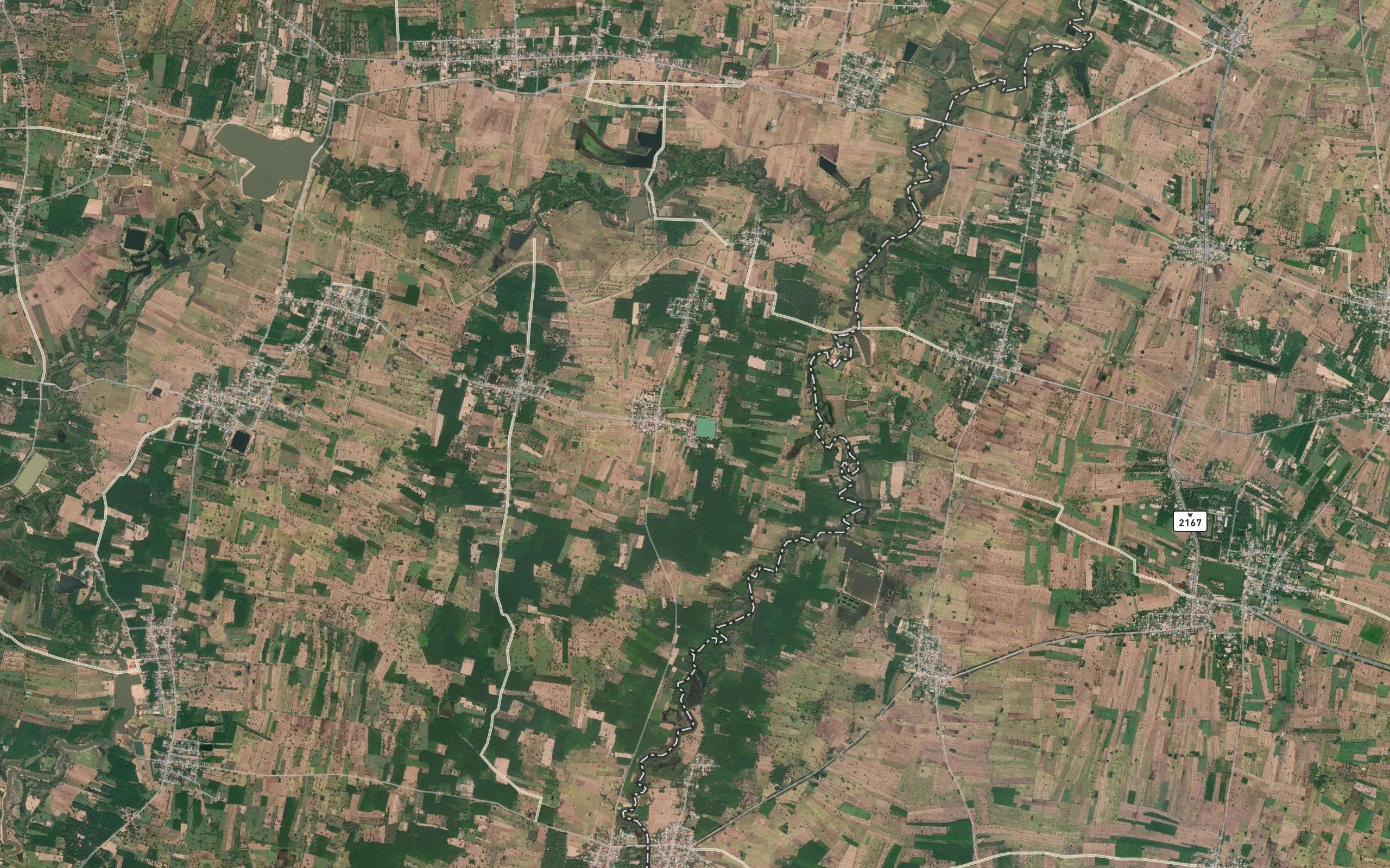 Nong Yai