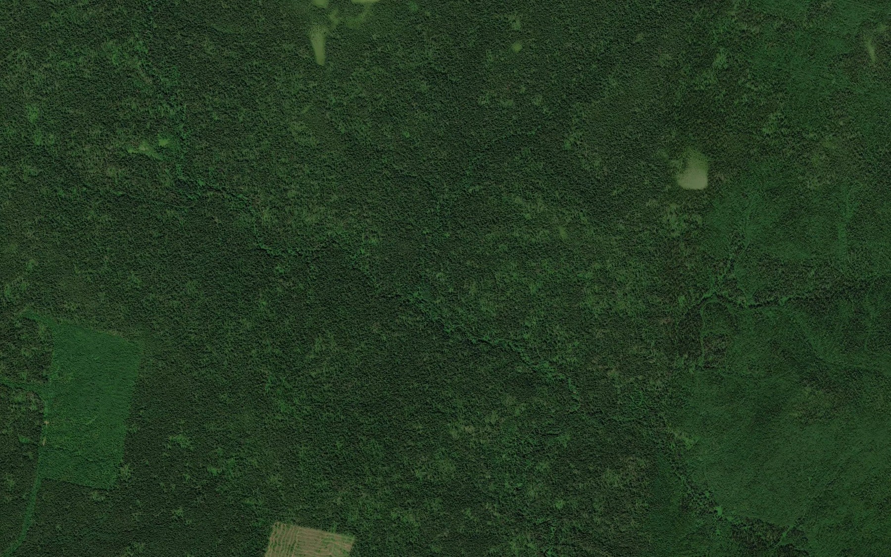 Satellite map of the Verbnyy