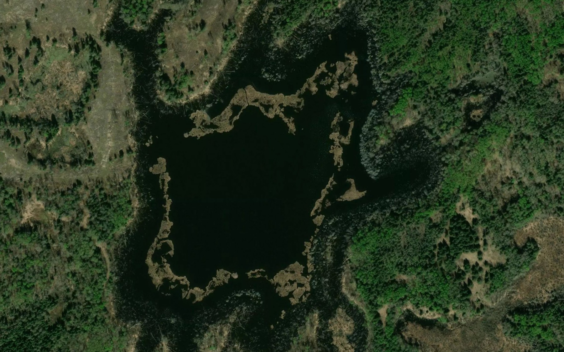 Satellite map of the Palmason Lake