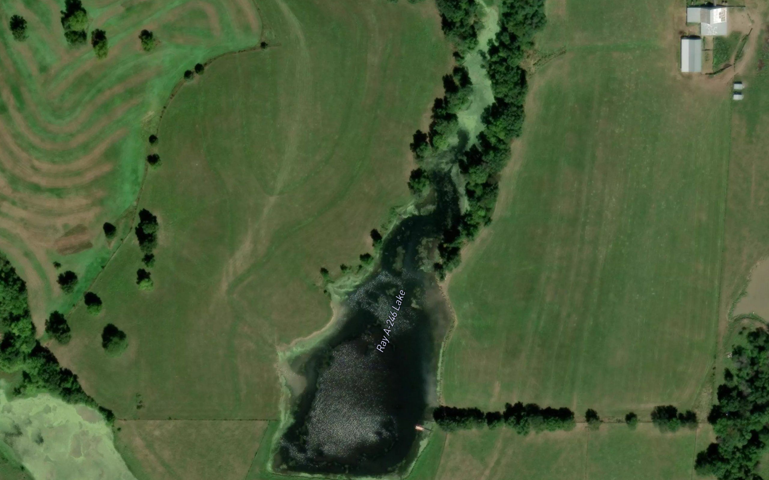 Ray A-246 Lake
