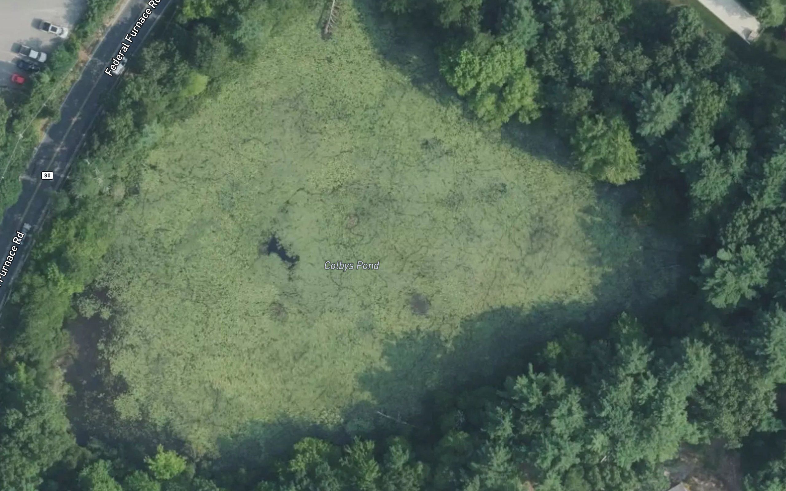 Colbys Pond