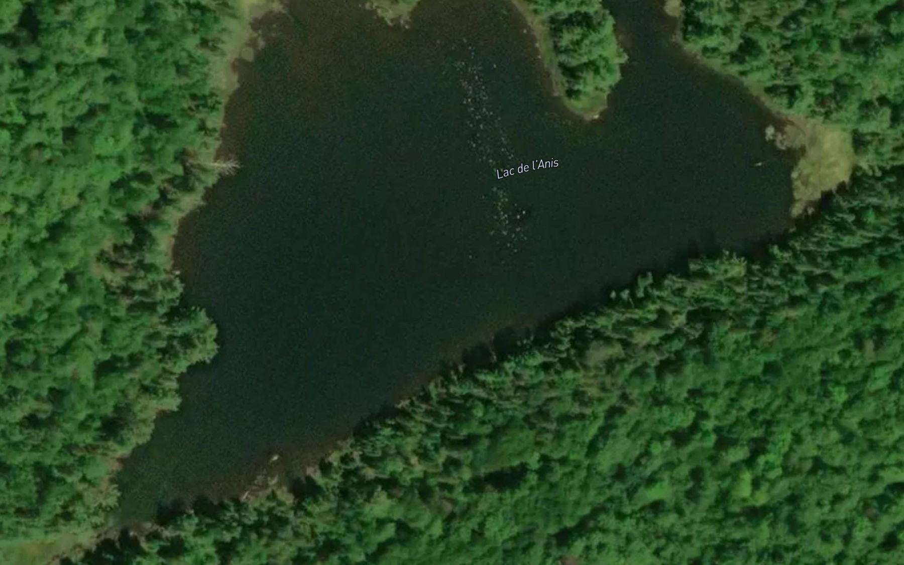 Satellite map of the Lac de l'Anis