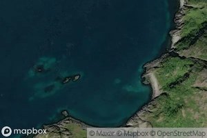 Satellite map of the Svartvika