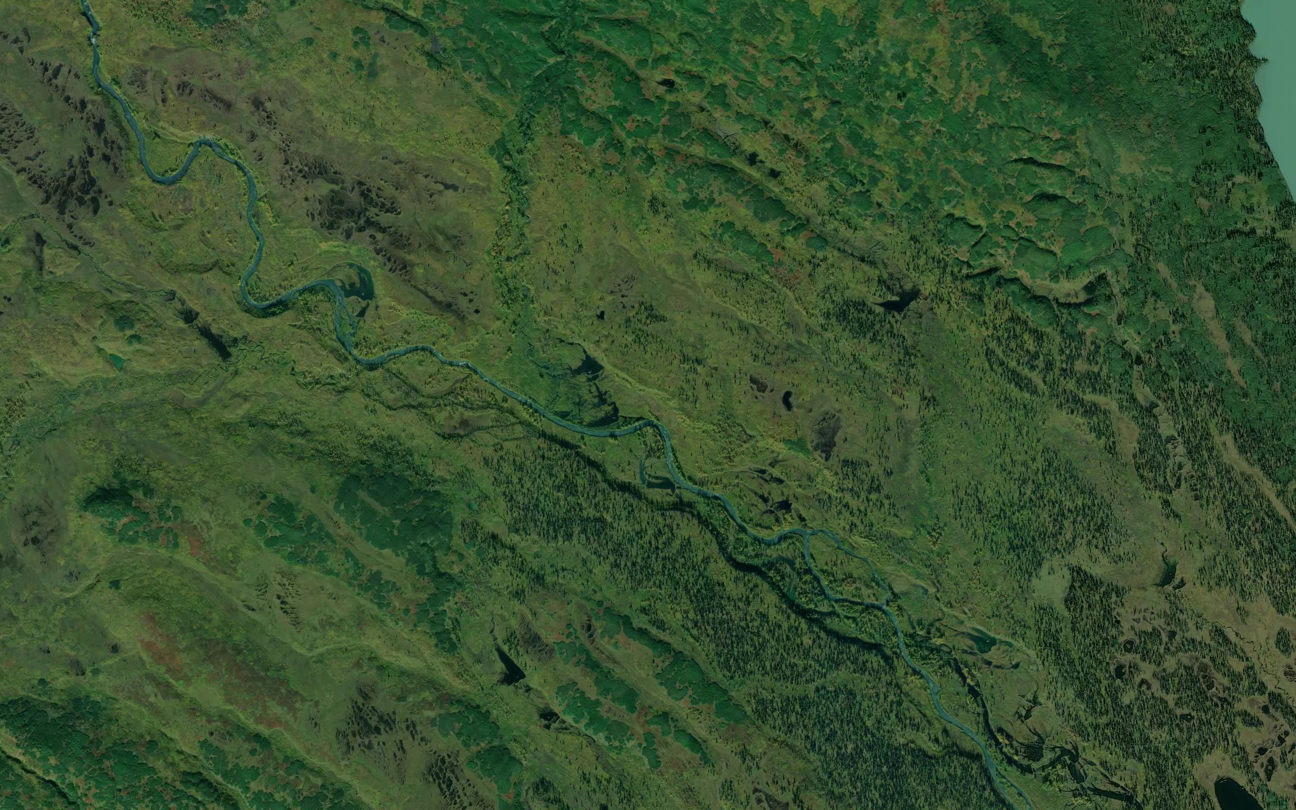 Bonanza Creek