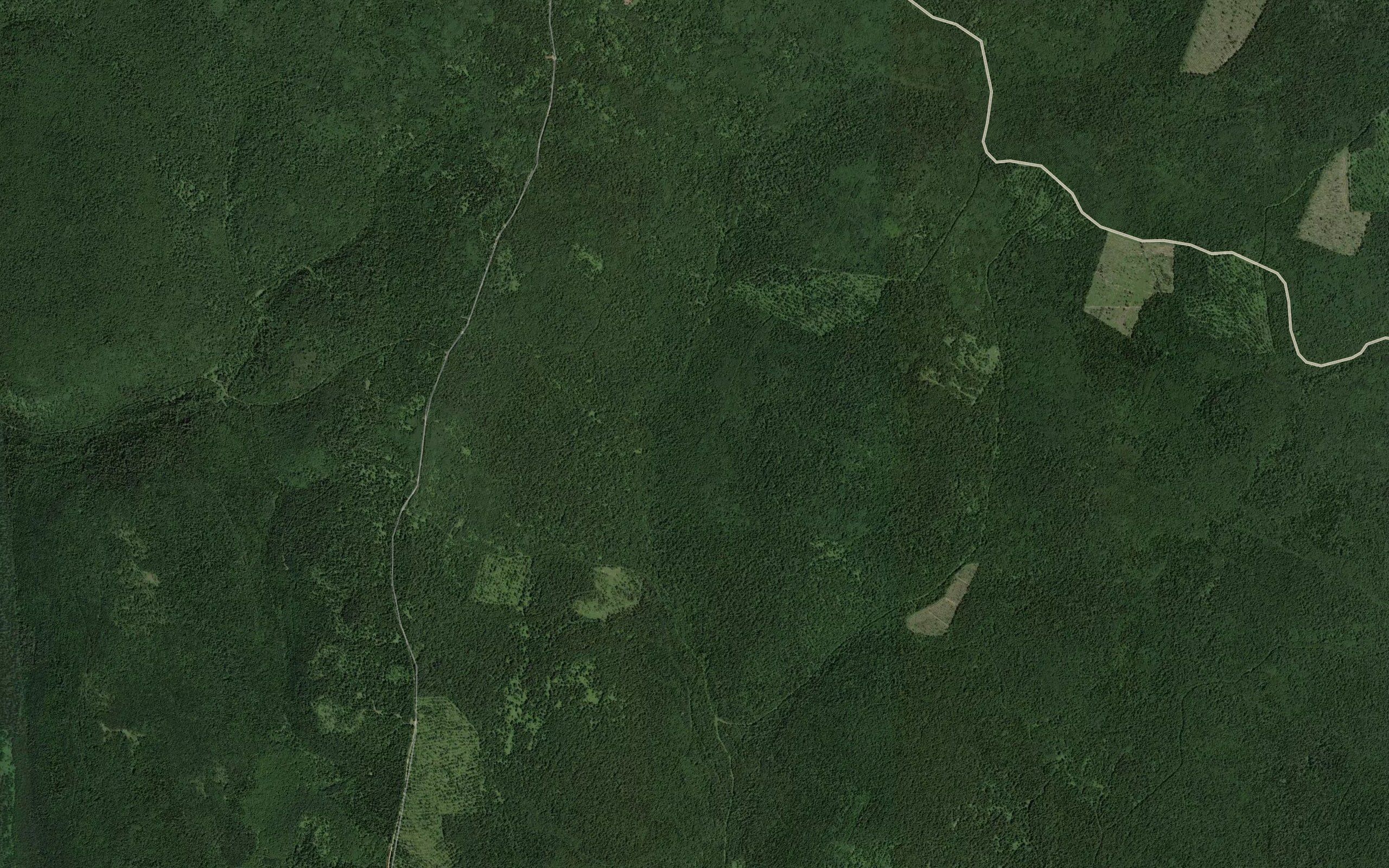 Pad' Shamanka