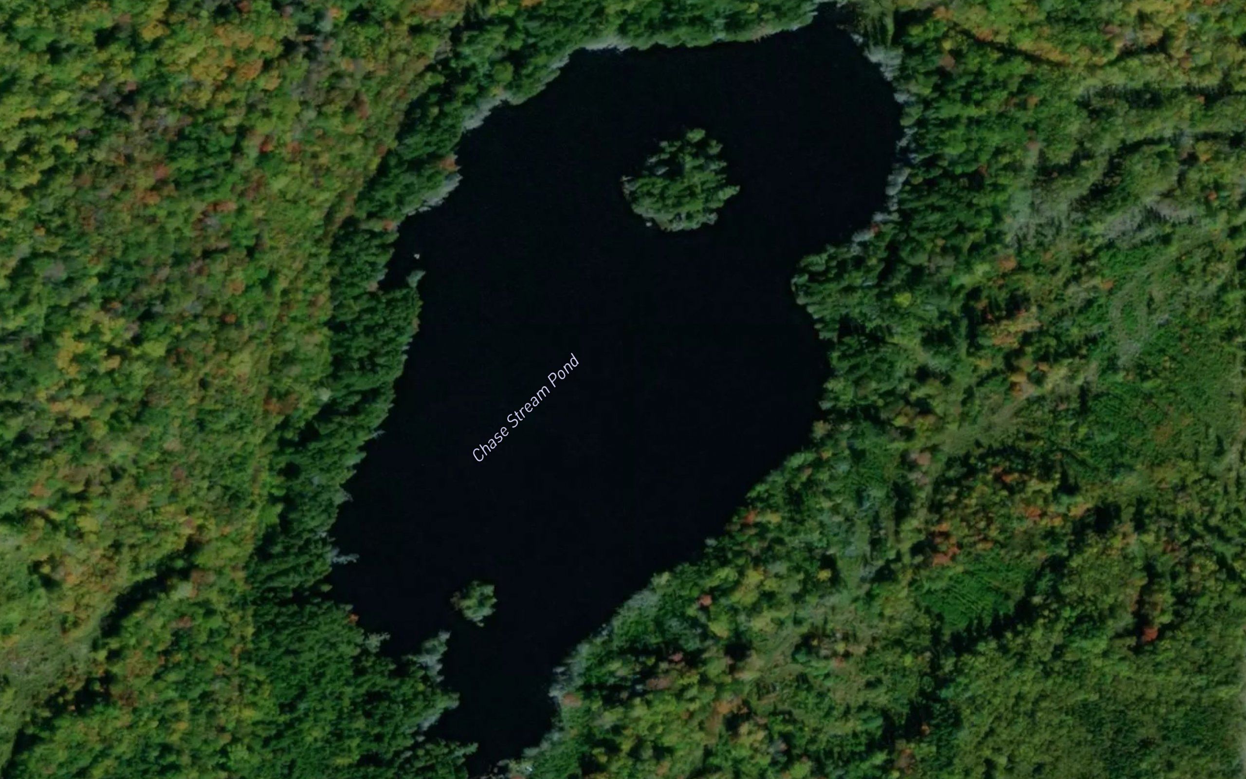 Chase Stream Pond