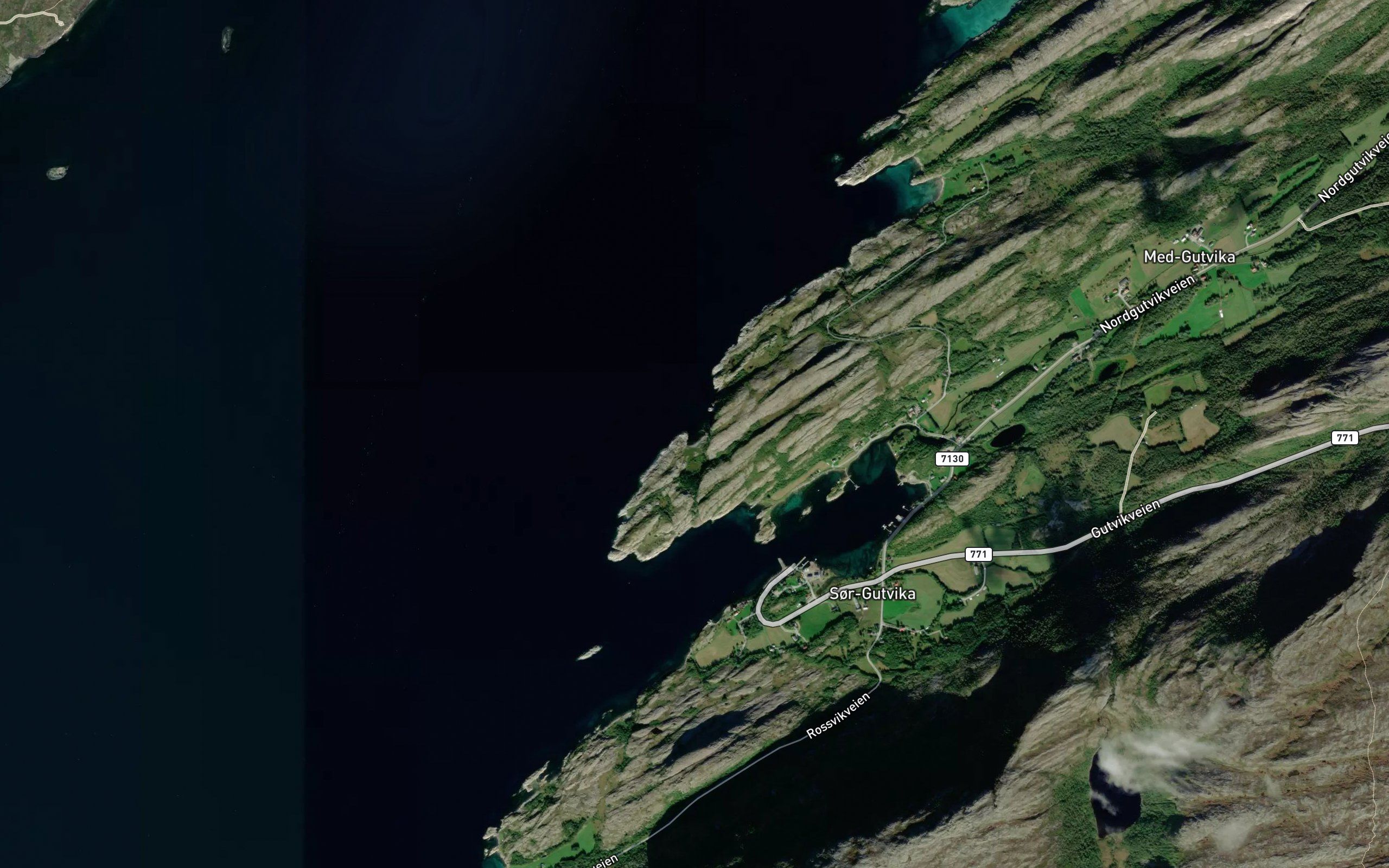 Galtvika
