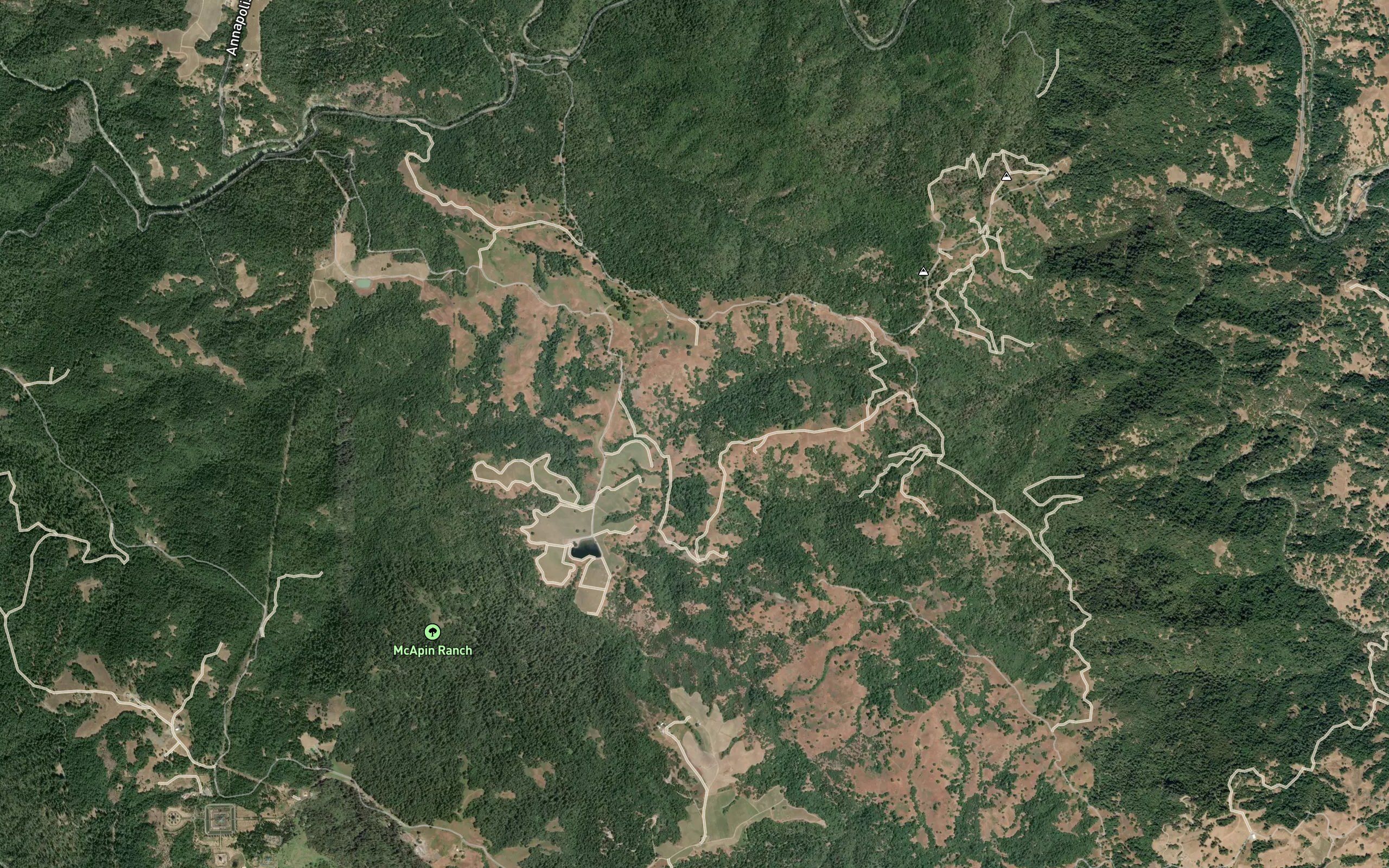 Buck Spring