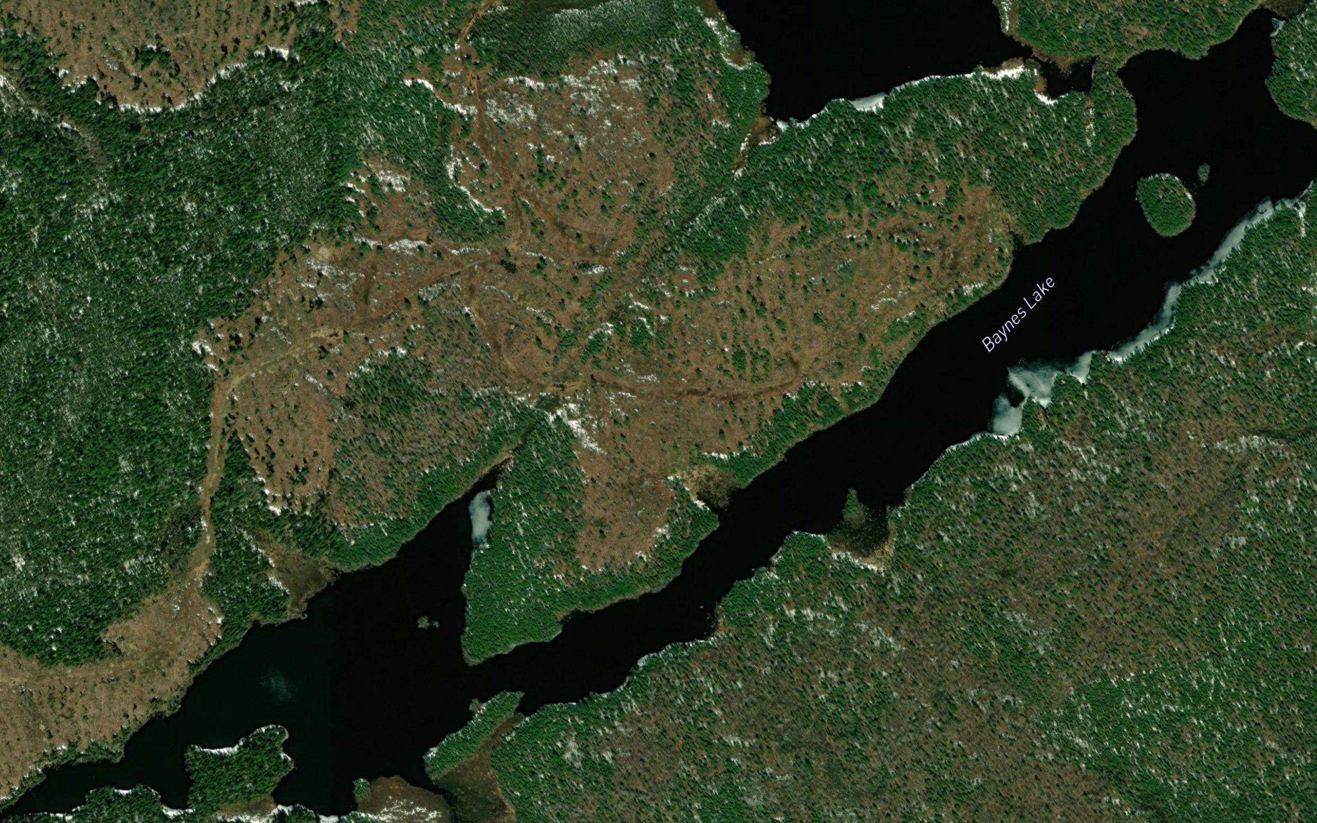 Baynes Lake