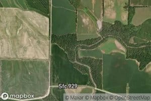 Coon Tail Creek
