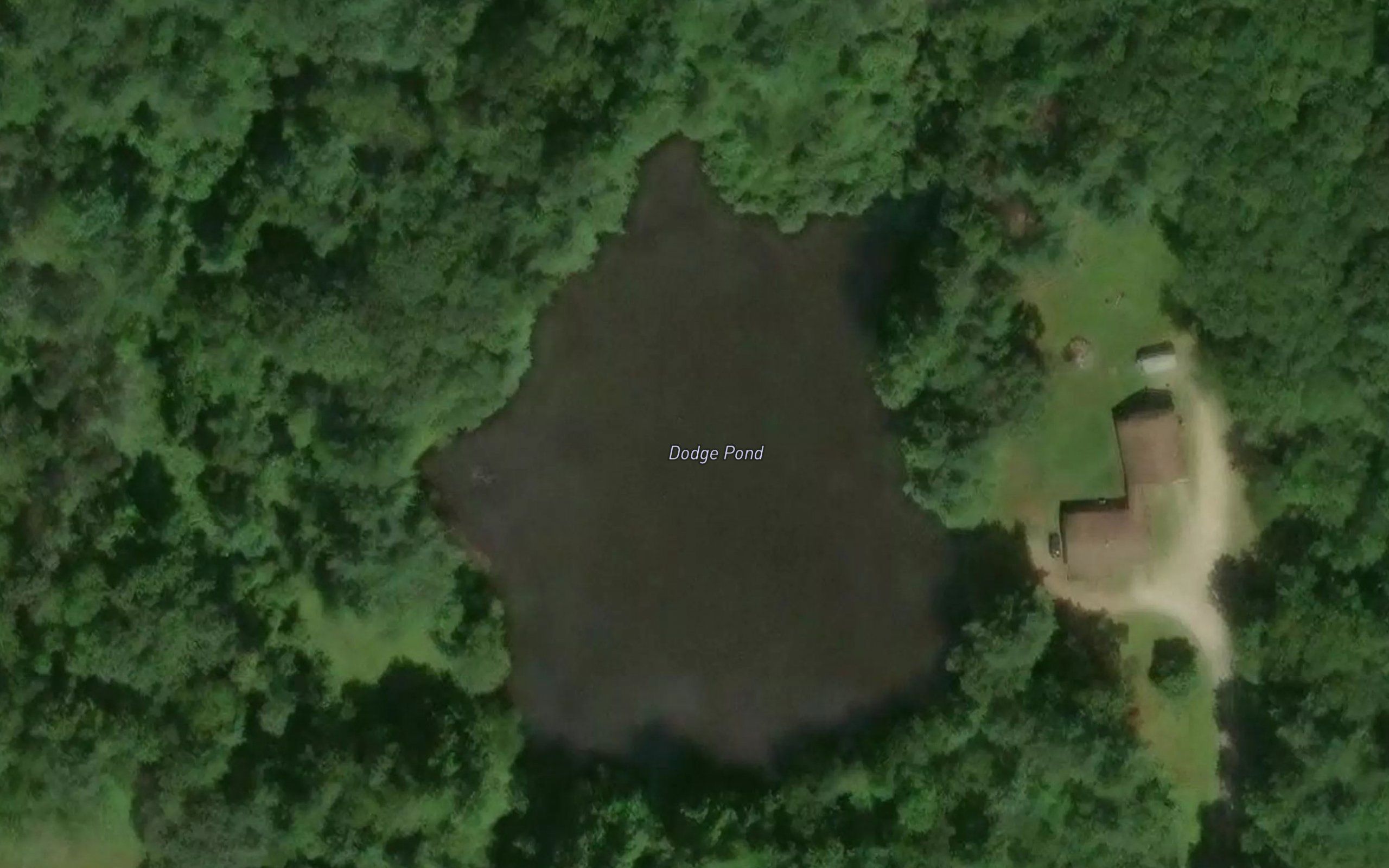 Dodge Pond