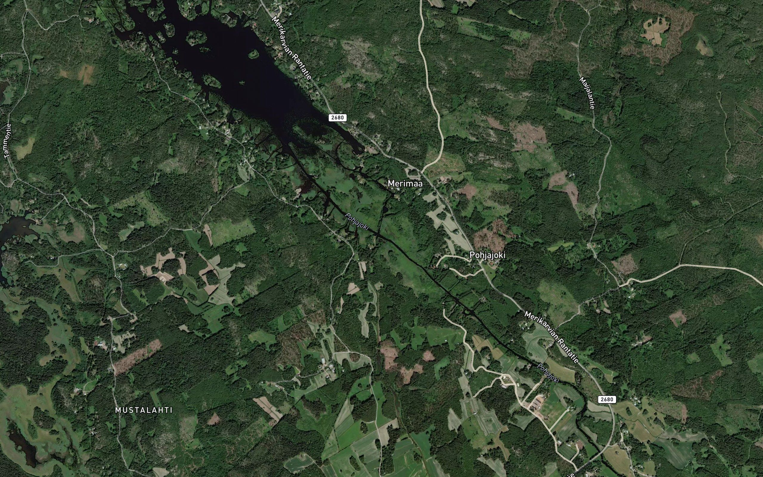 Pohjaniitunoja