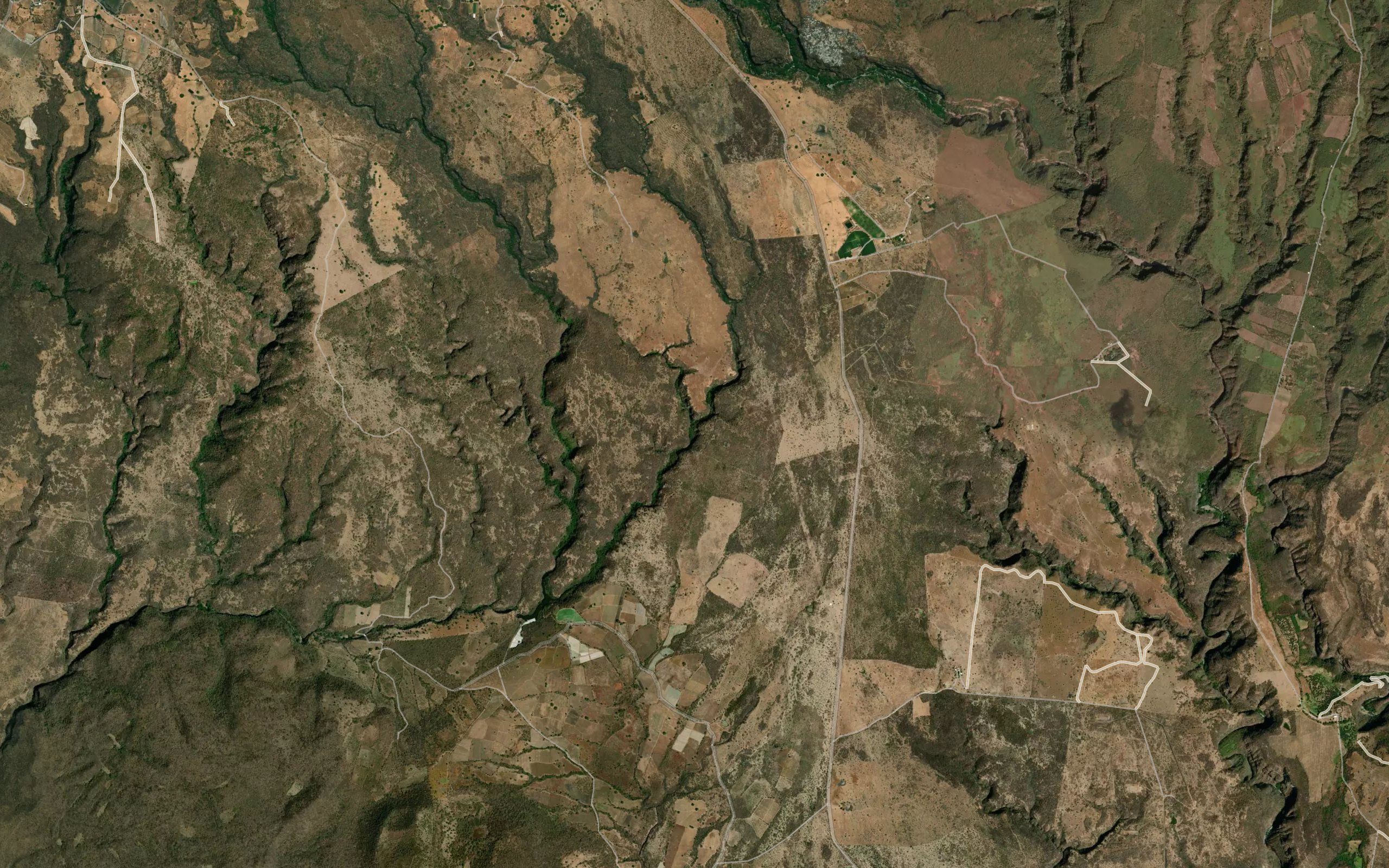Barranca Seca
