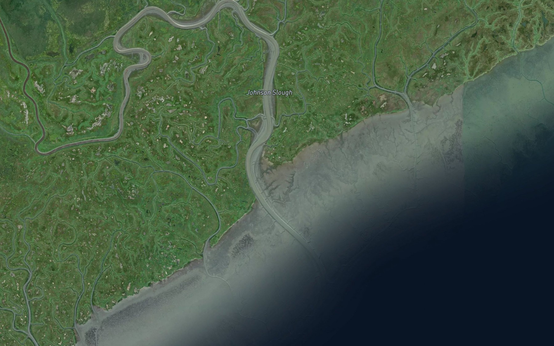 Satellite map of the Johnson Slough