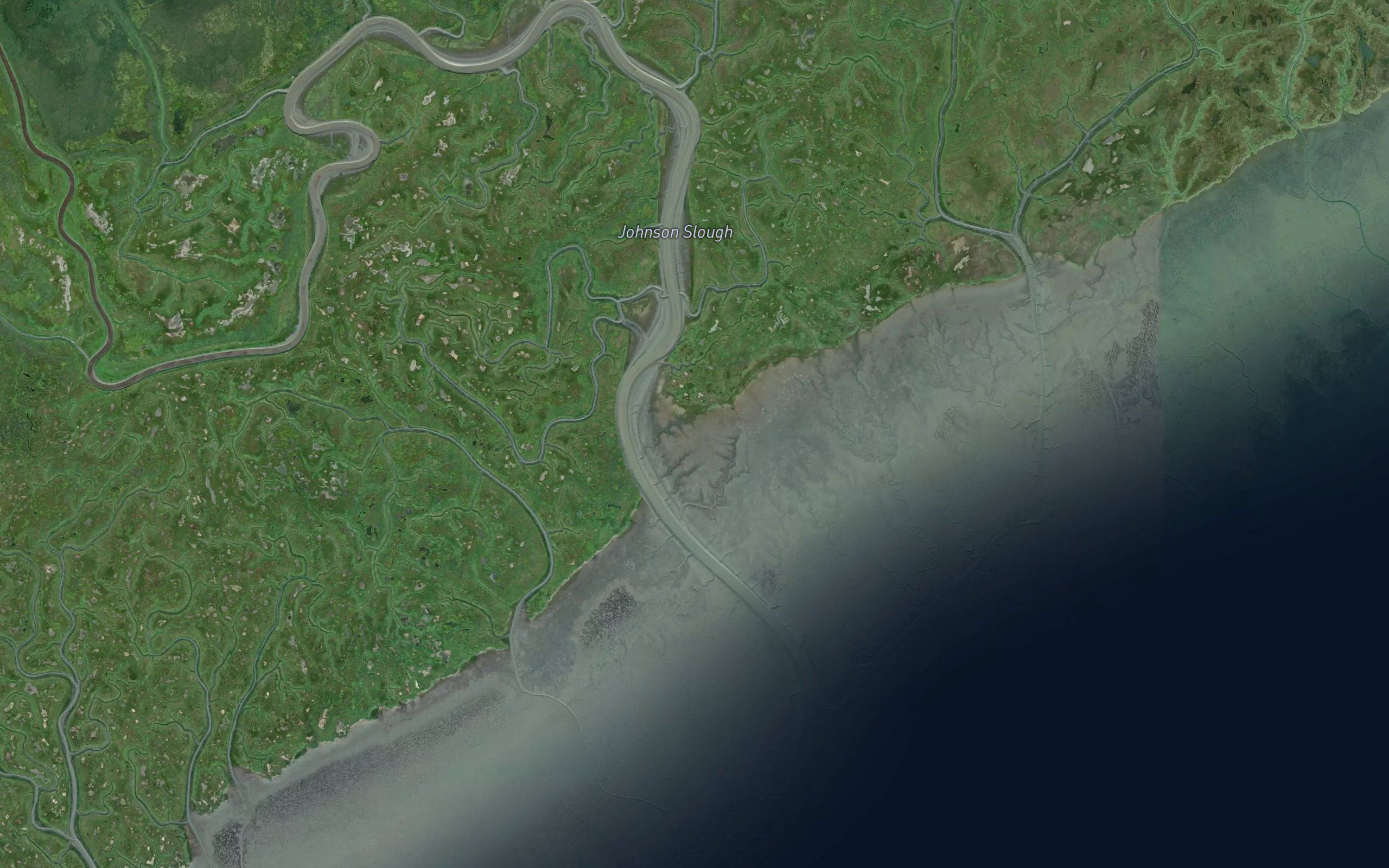 Johnson Slough