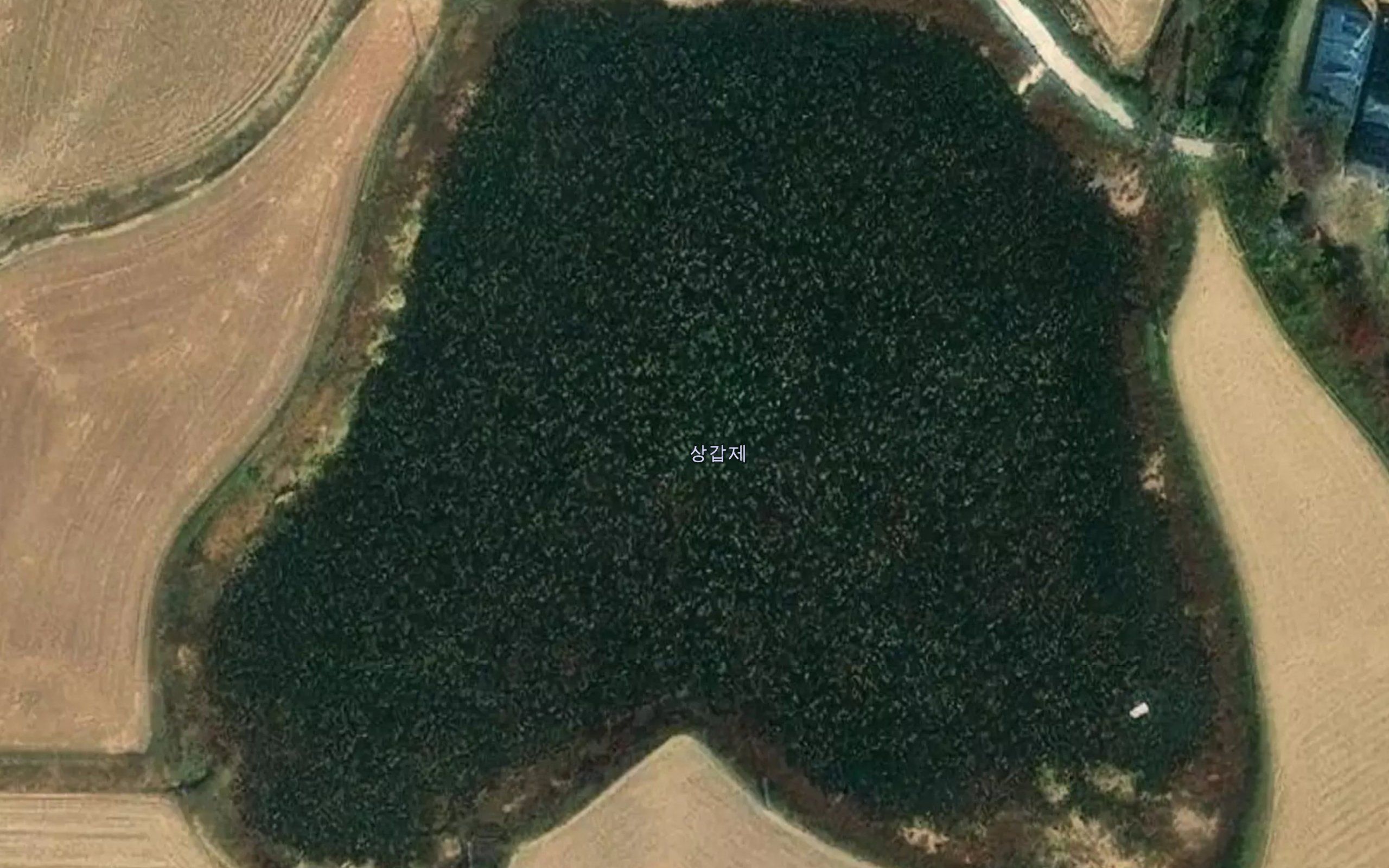 Sanggapje