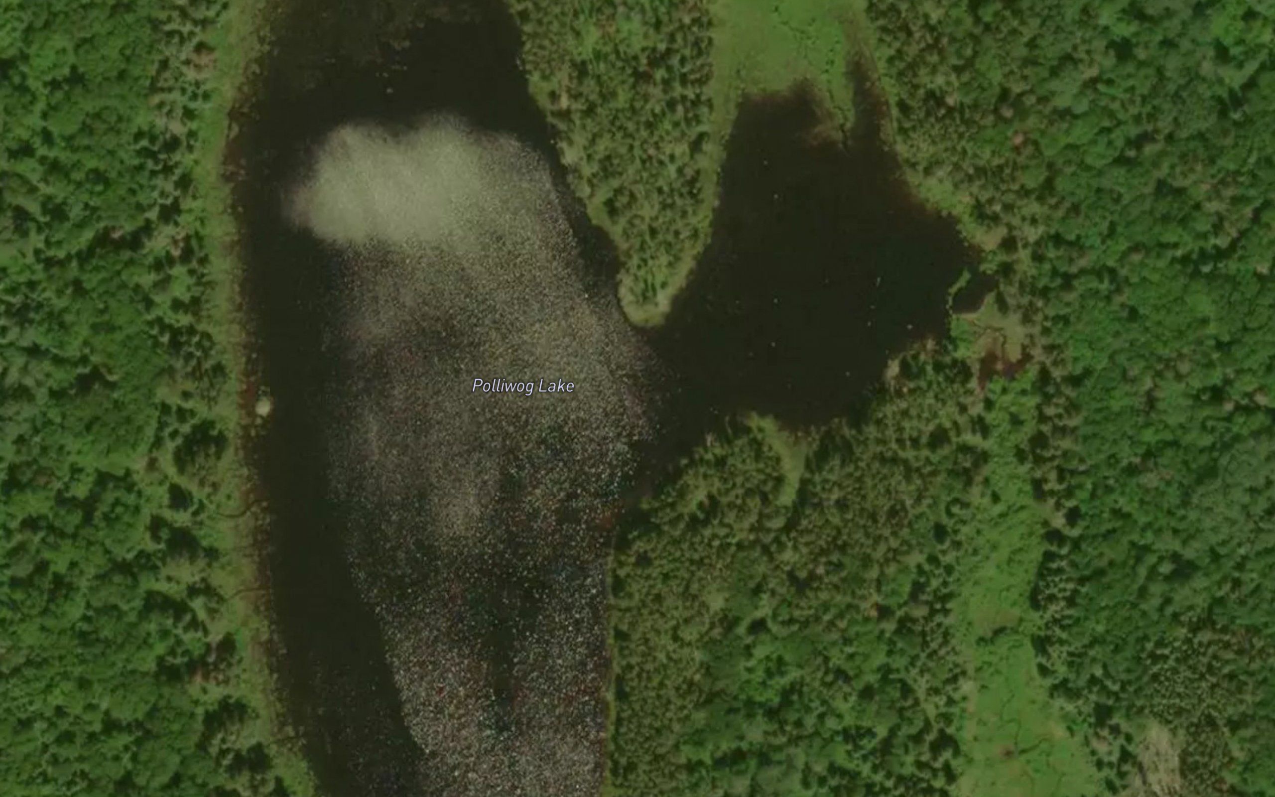 Polliwog Lake