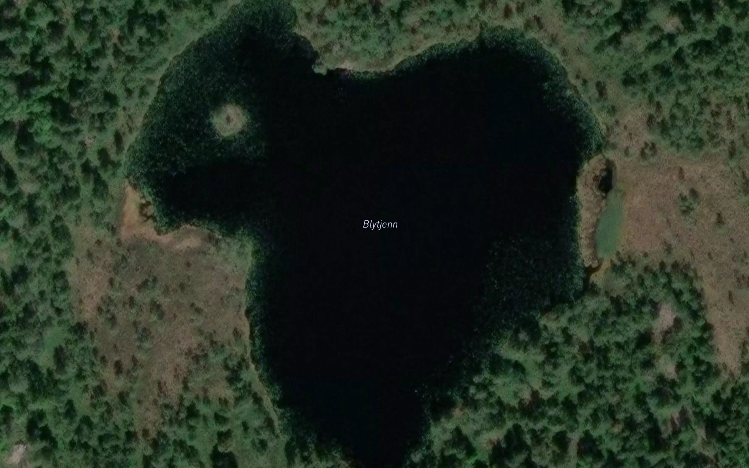 Blytjern
