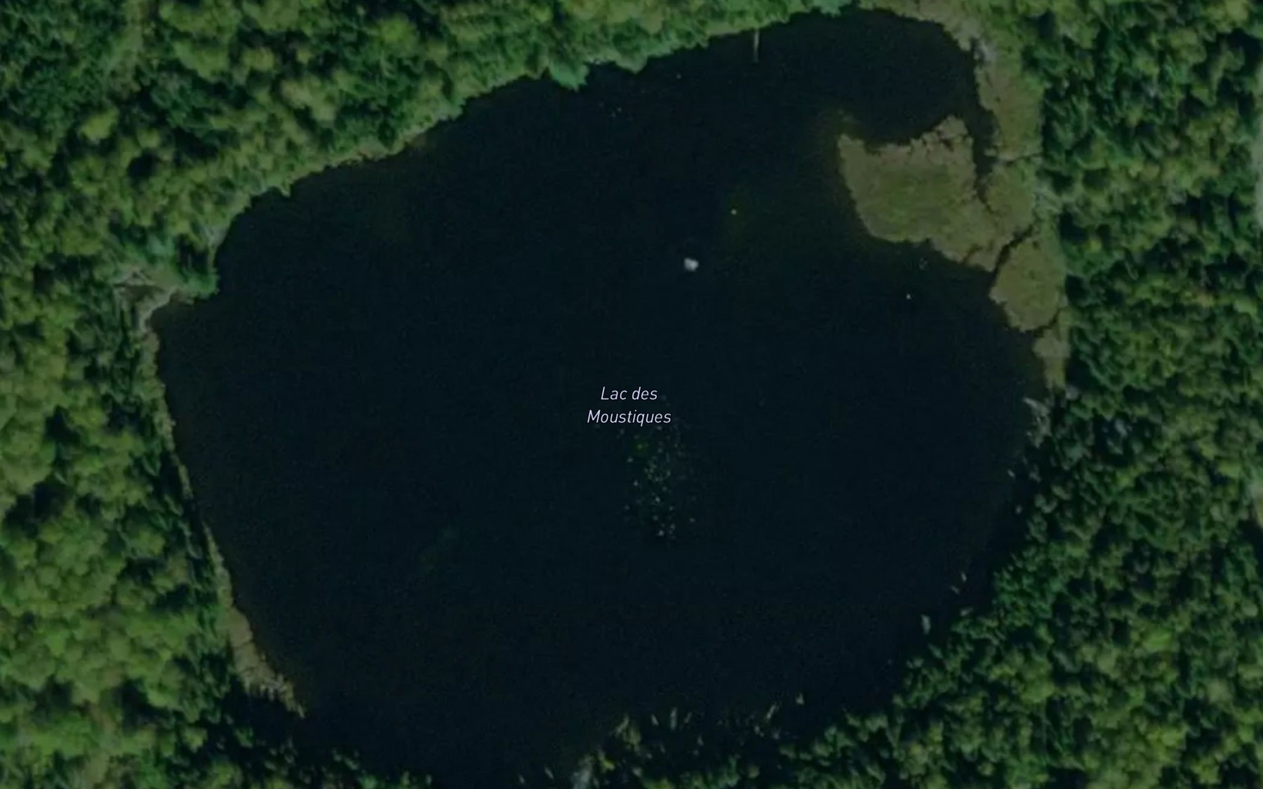 Satellite map of the Lac des Moustiques