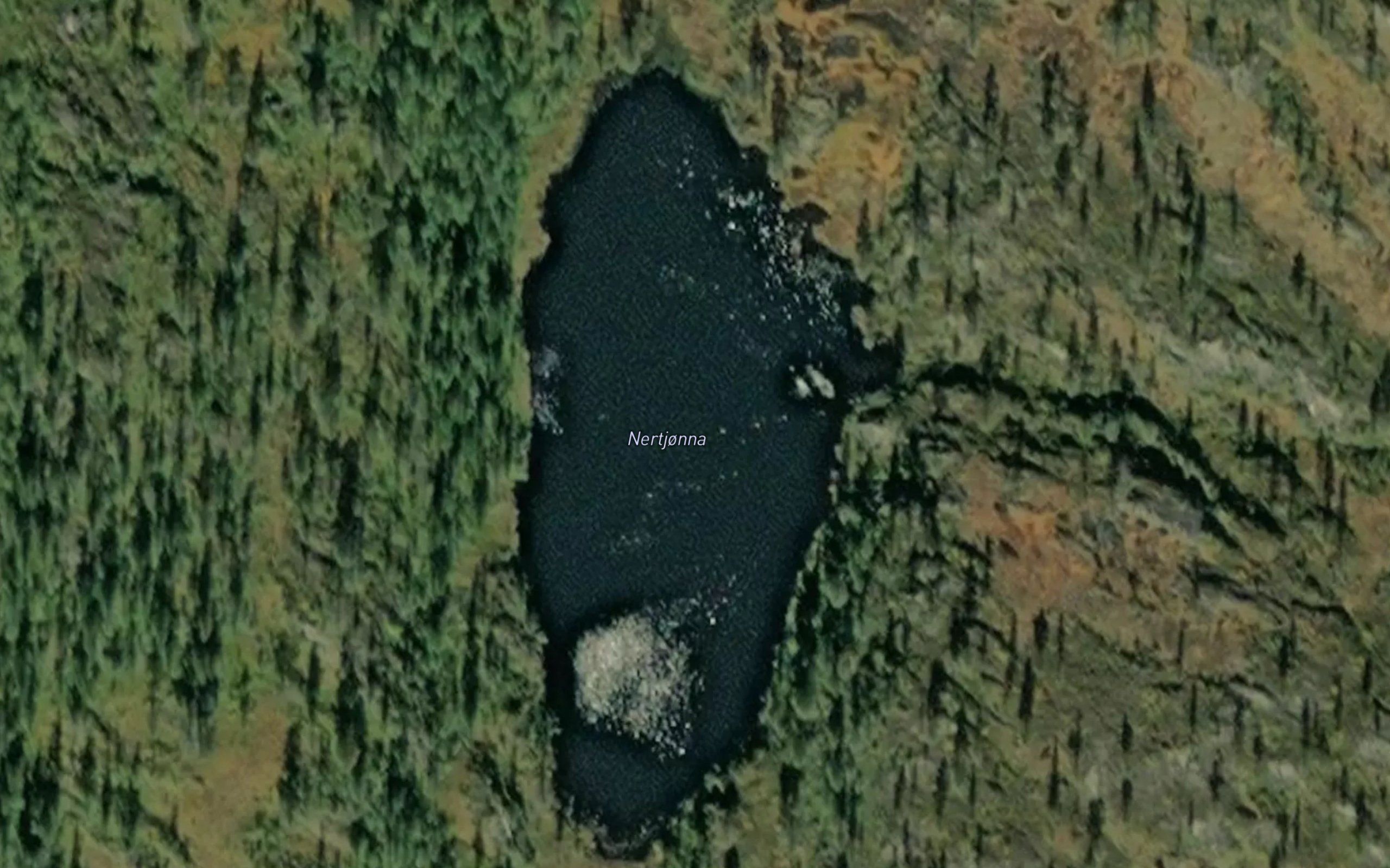 Nertjorna