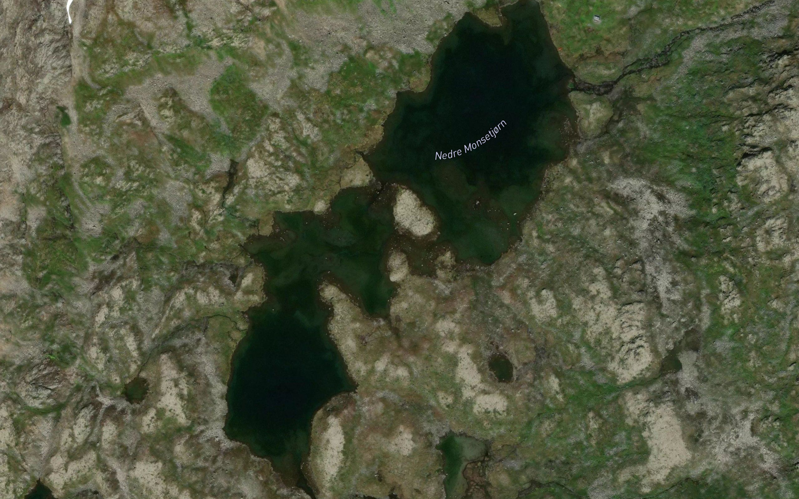 Mosetjern,nedre