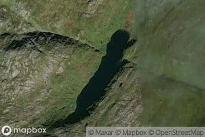 Adalstjorna