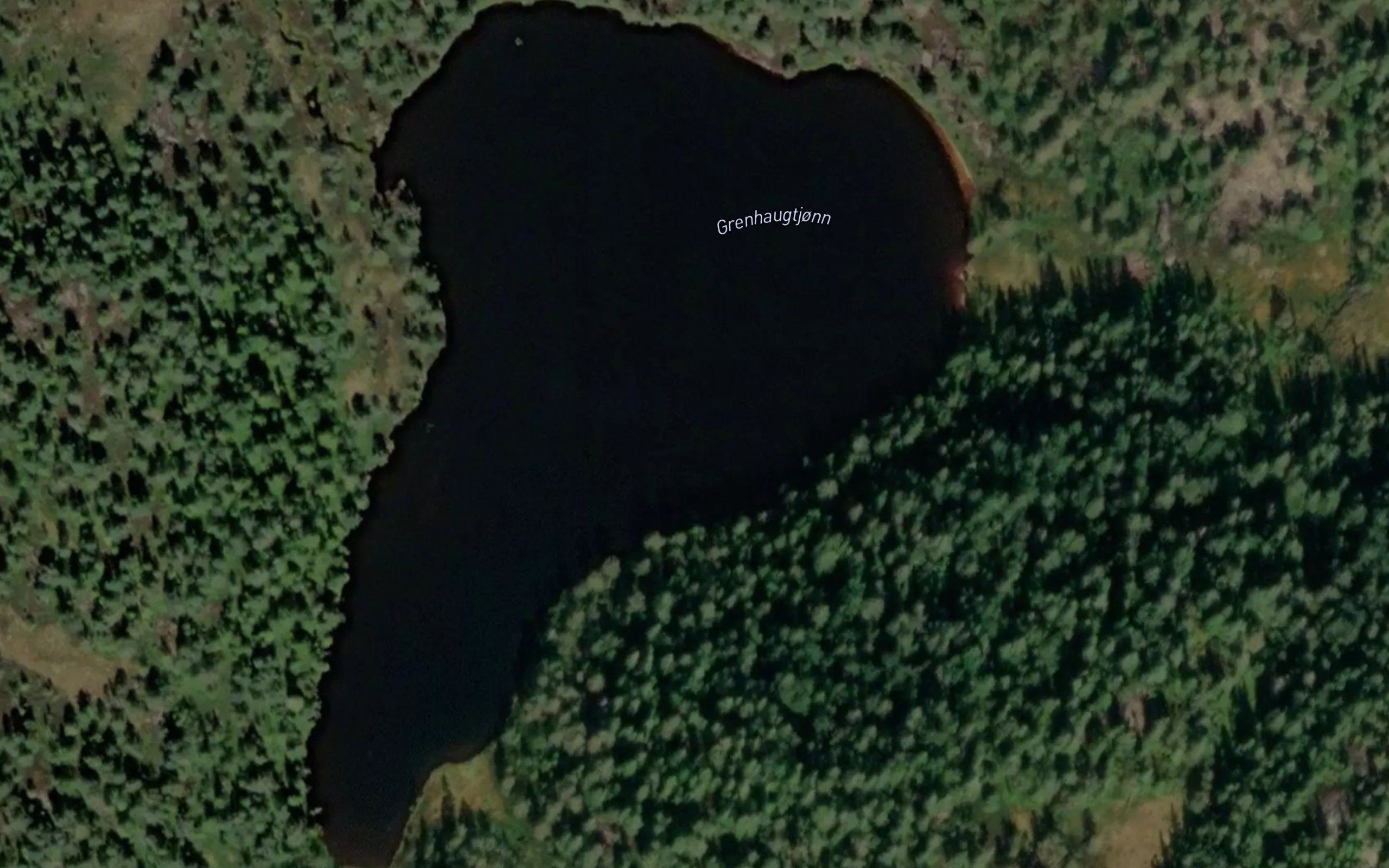 Grenhaugtjorn